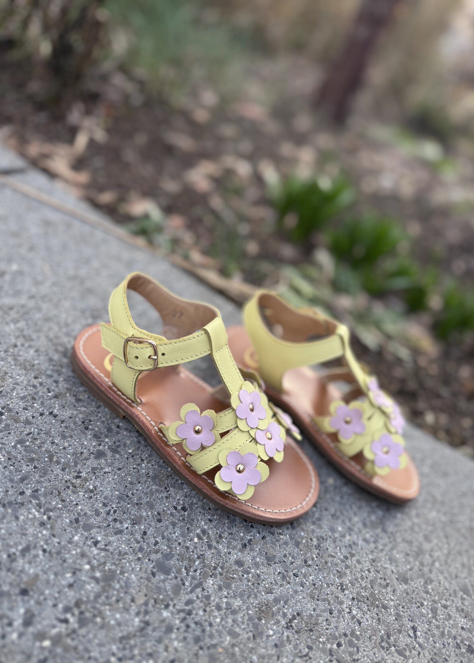 Gallucci T10064AT sandaal citron/rose