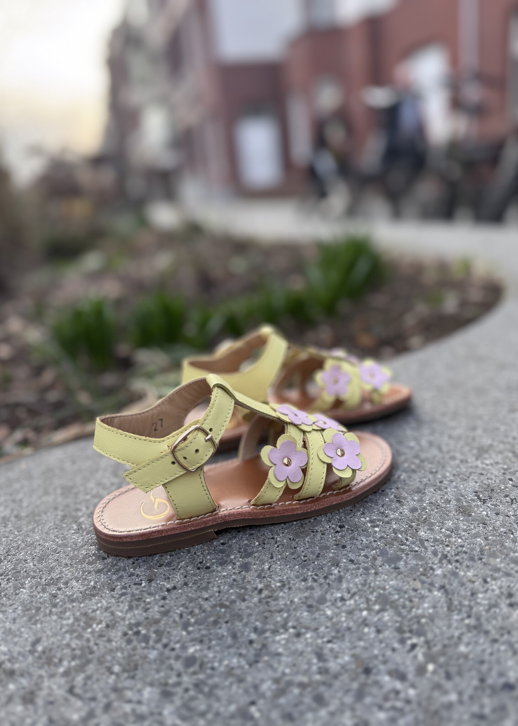 Gallucci T10064AT sandaal citron/rose