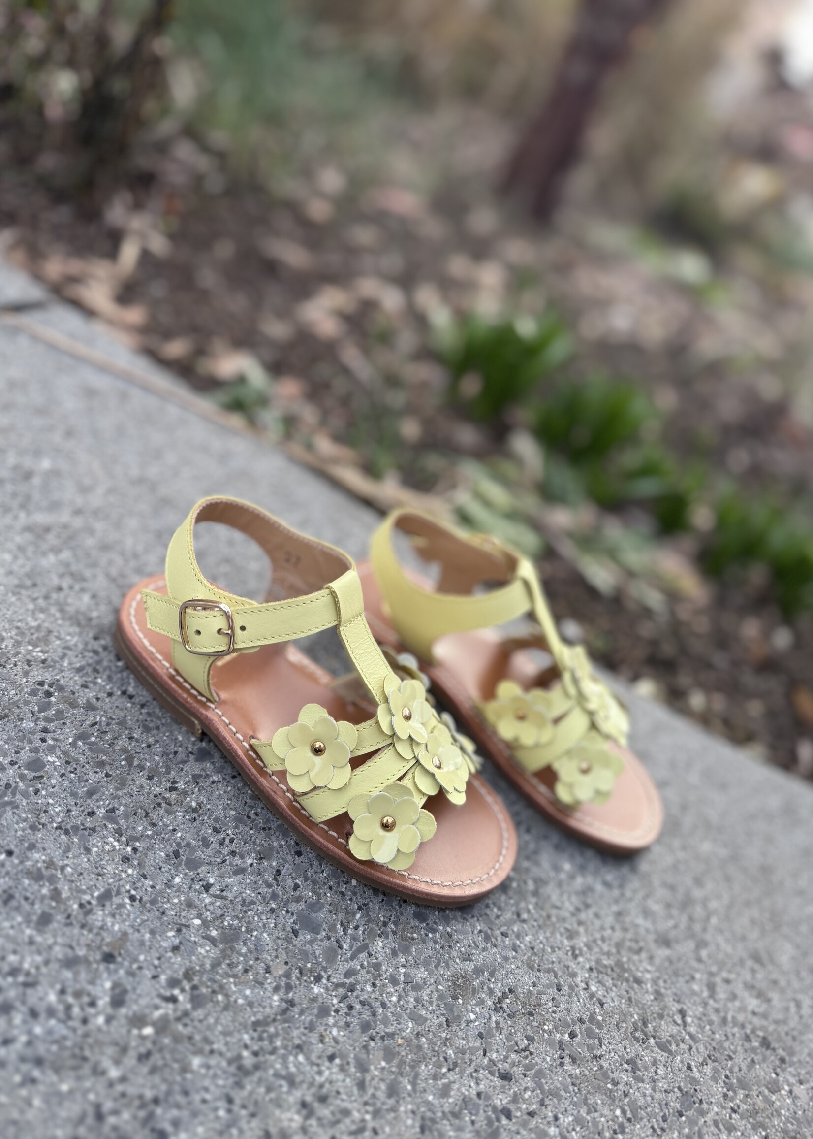 Gallucci T10064AT sandaal citron