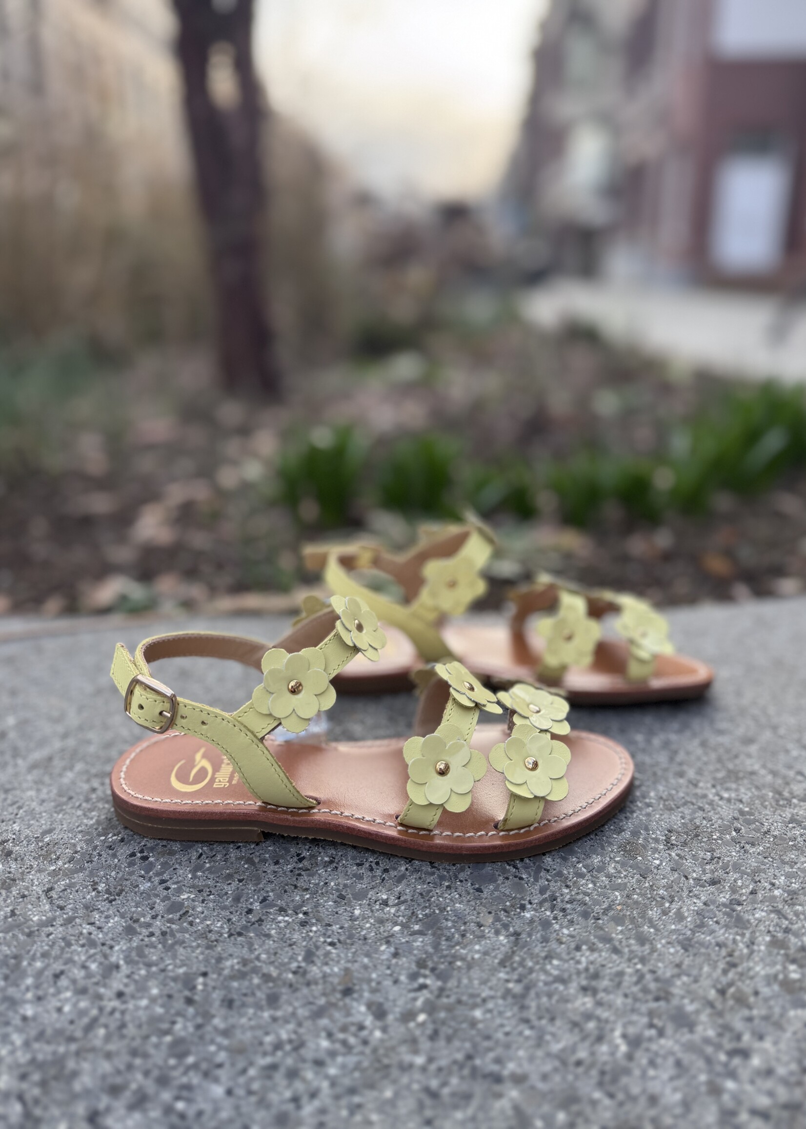 Gallucci J1006MT sandaal citron