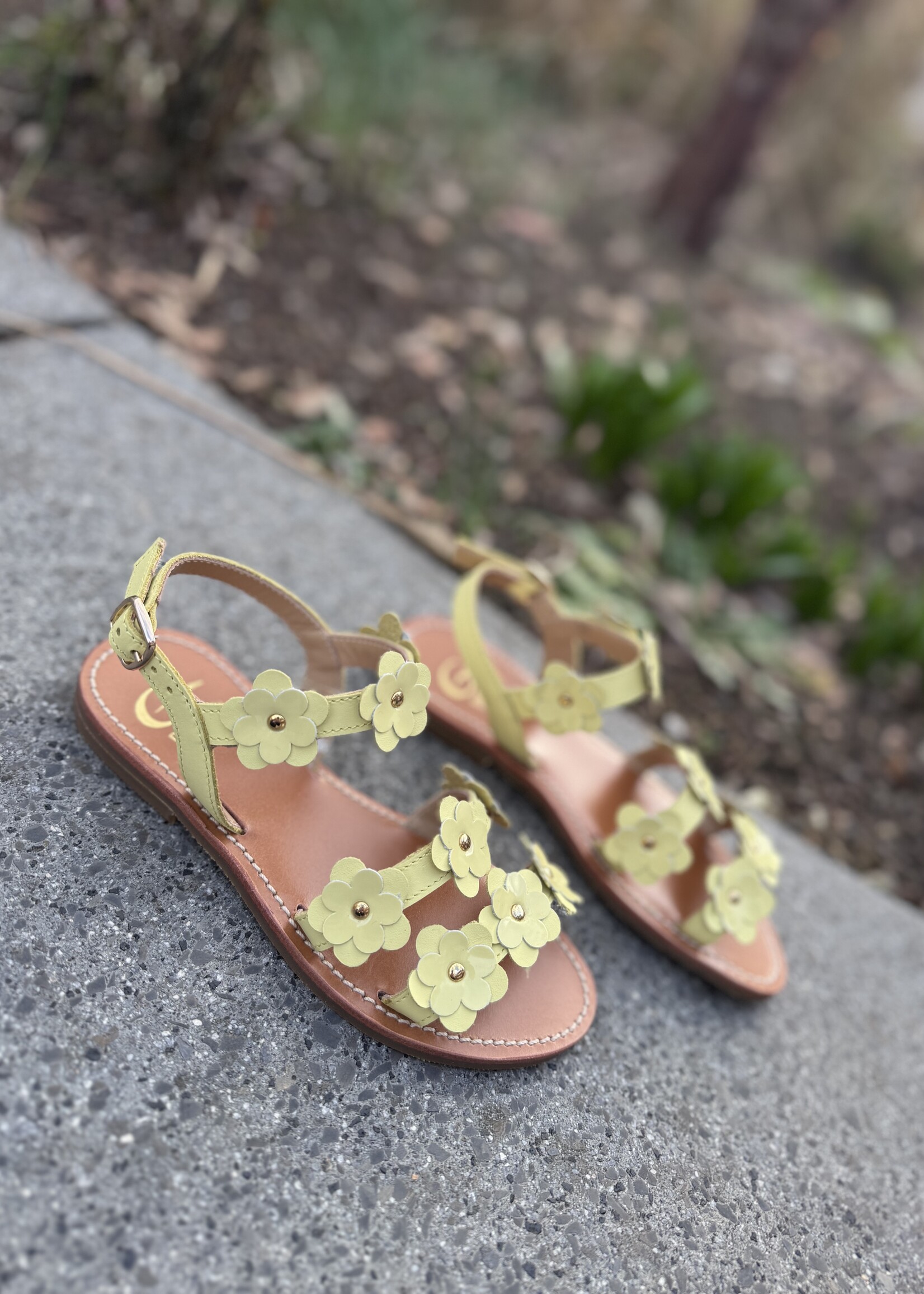 Gallucci J1006MT sandaal citron