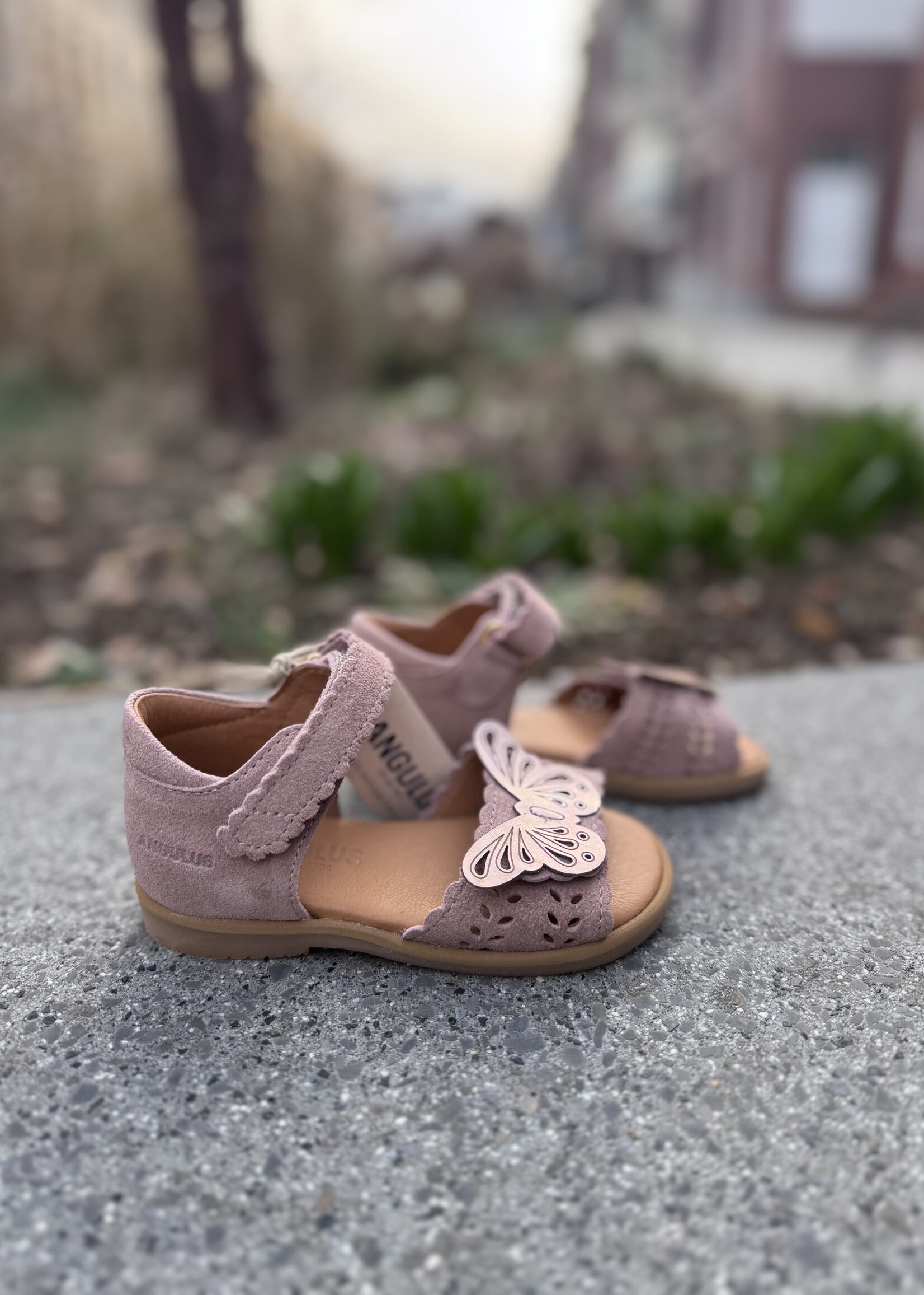 Angulus 0698-101 open toe sandal butterfly rosebud/rose gold