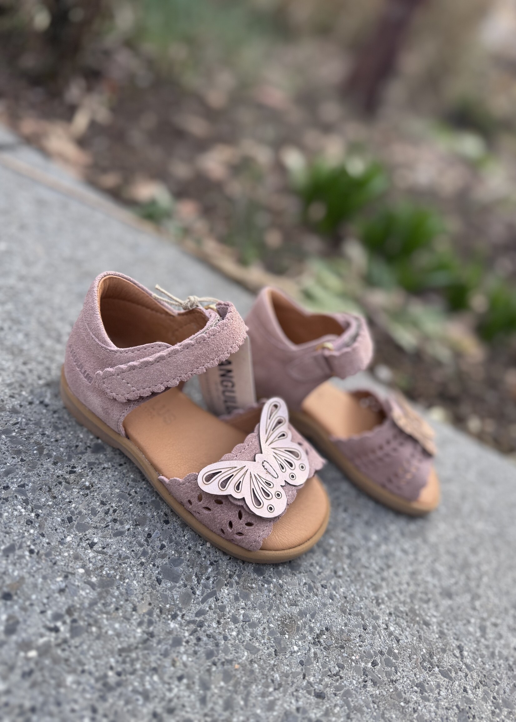 Angulus 0698-101 open toe sandal butterfly rosebud/rose gold