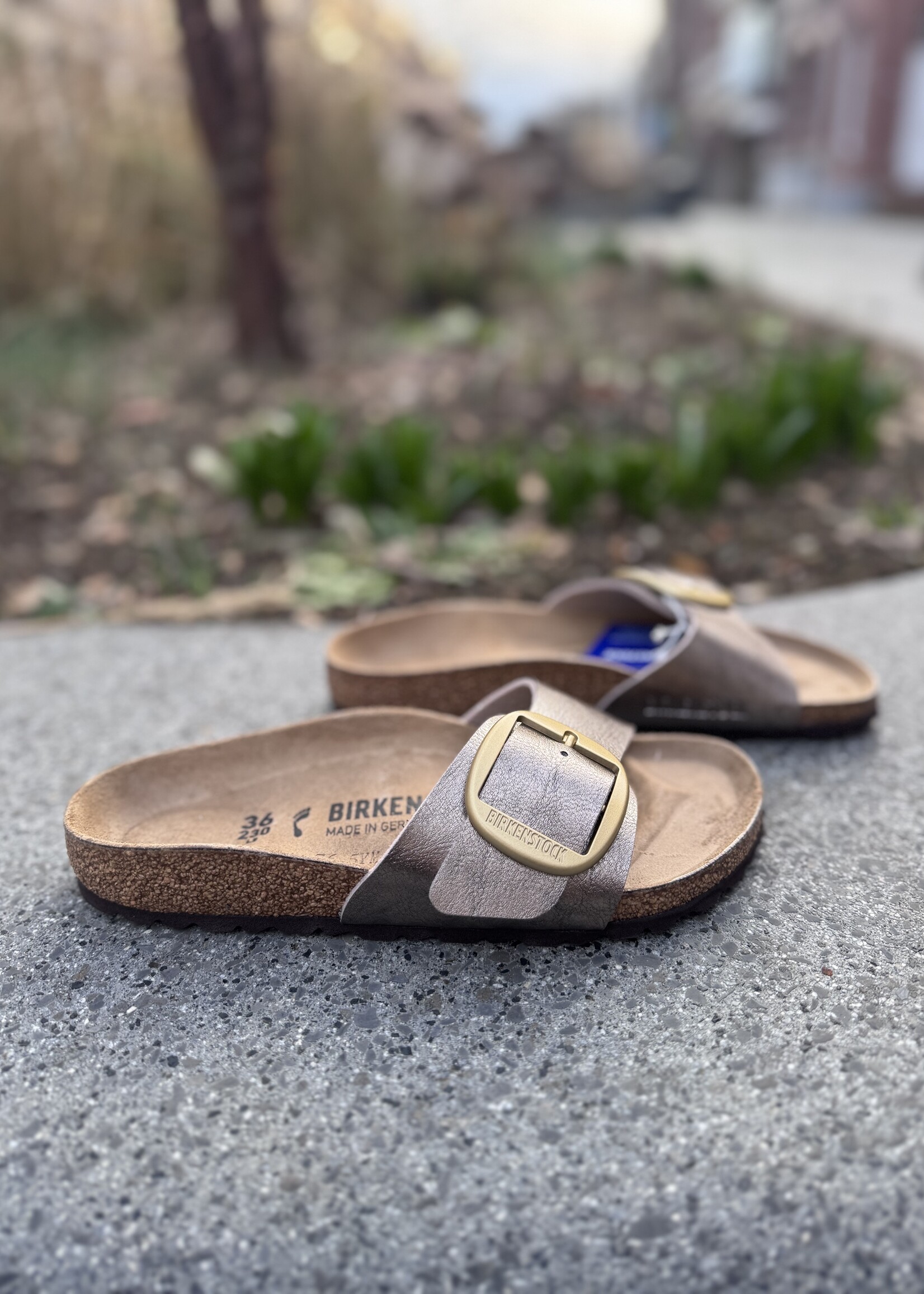 Birkenstock madrid big buckle graceful taupe