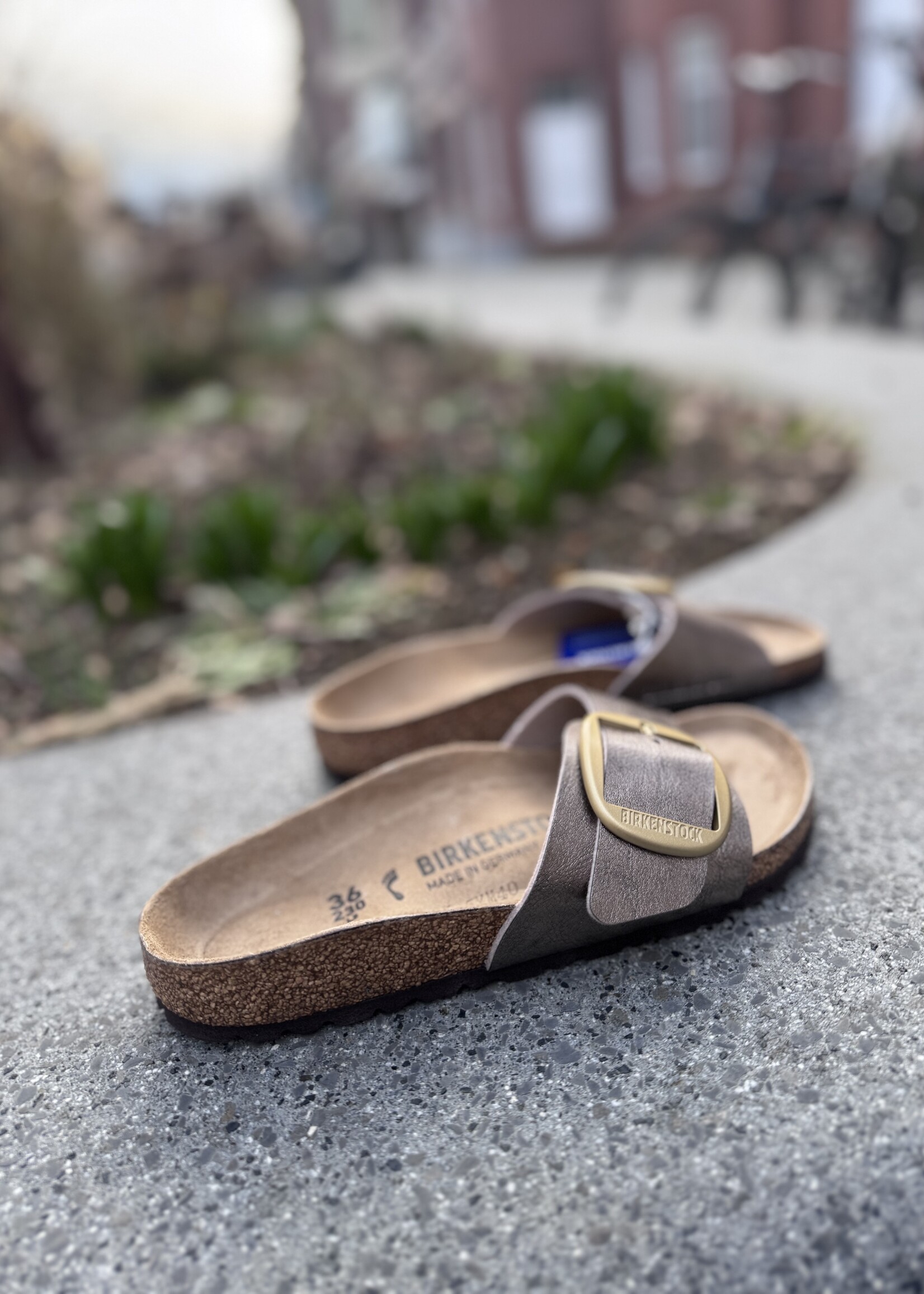 Birkenstock madrid big buckle graceful taupe