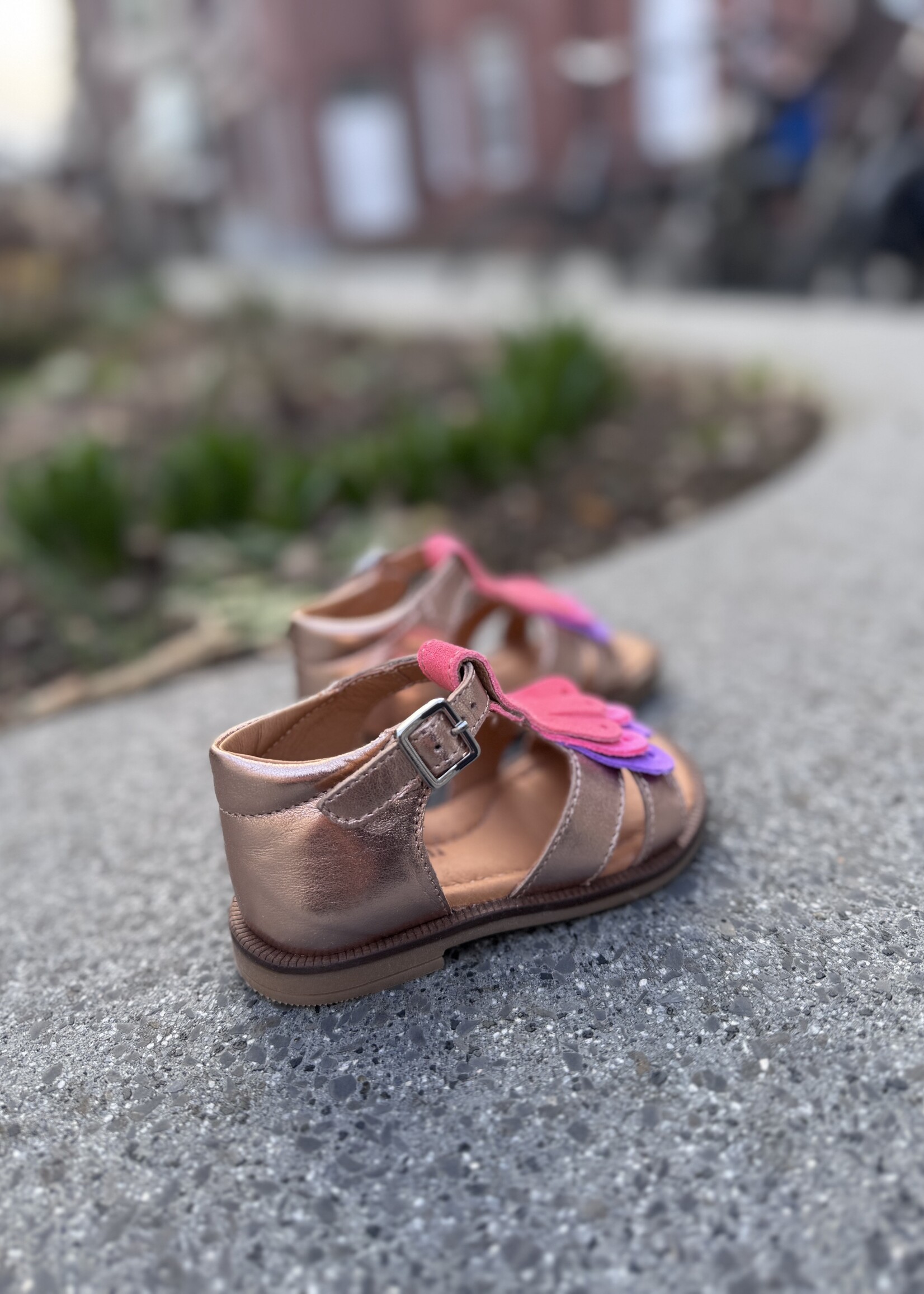 Romagnoli 8527R071 sandaal rose gold rose lila