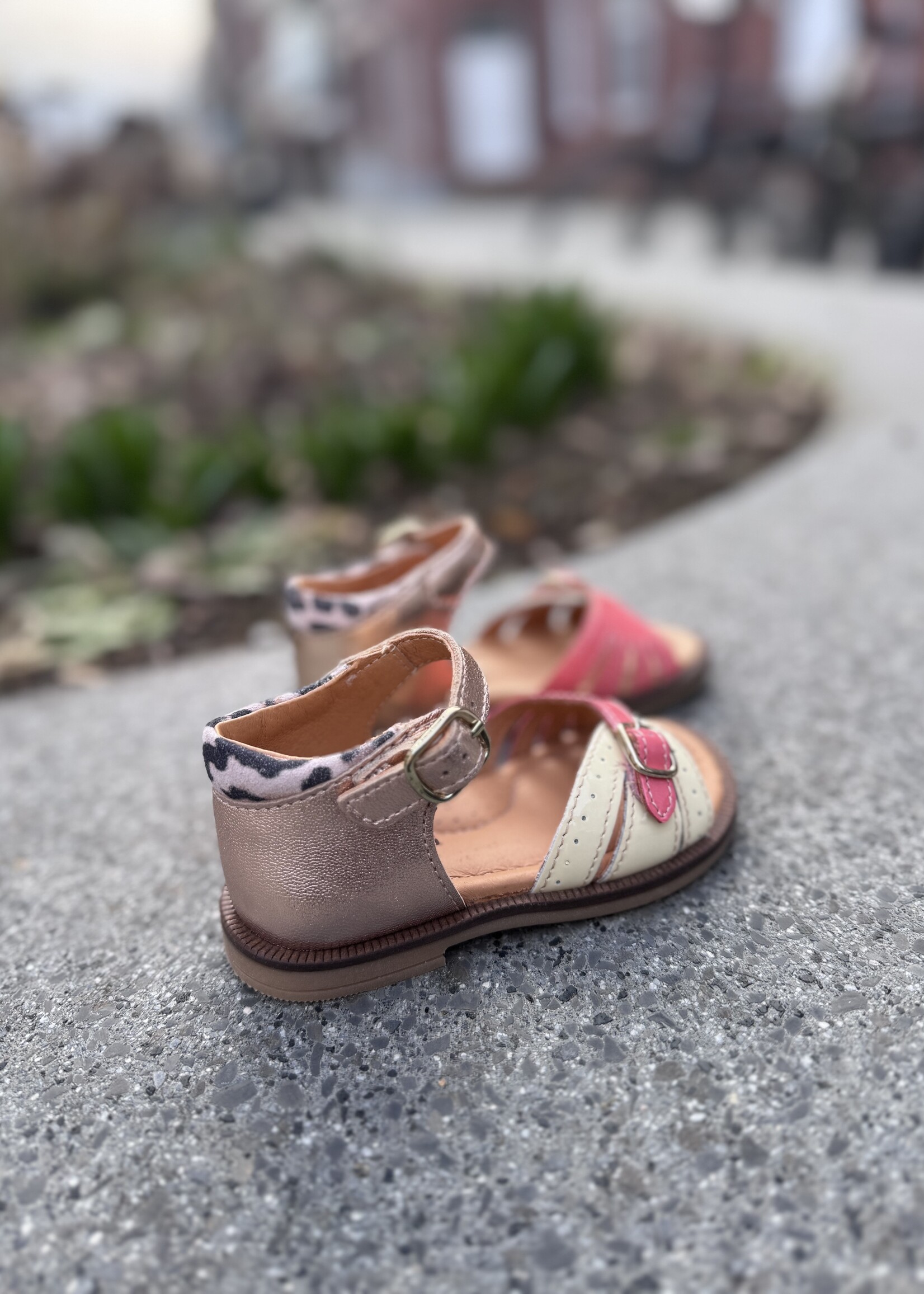 Romagnoli 8529R071 sandaal rose gold rose geel leo