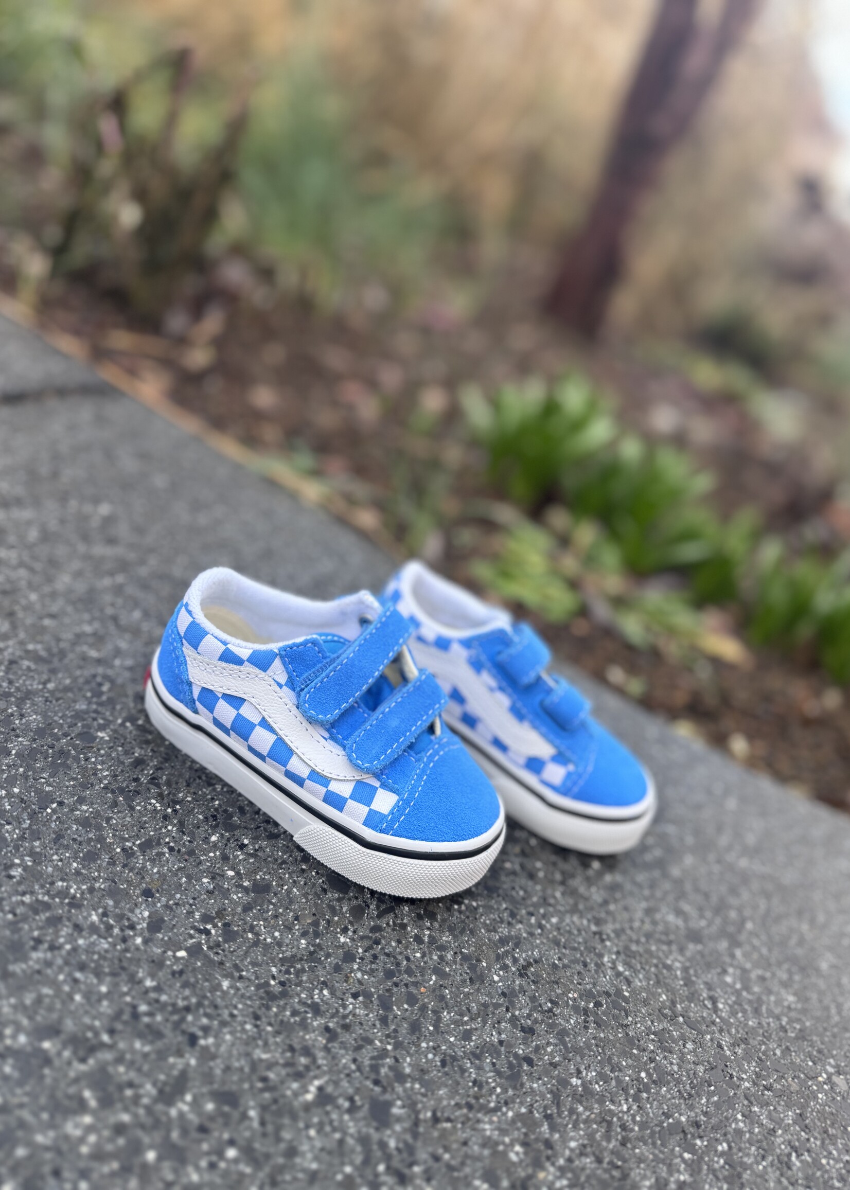 Vans old skool theory checkerboard bright azure