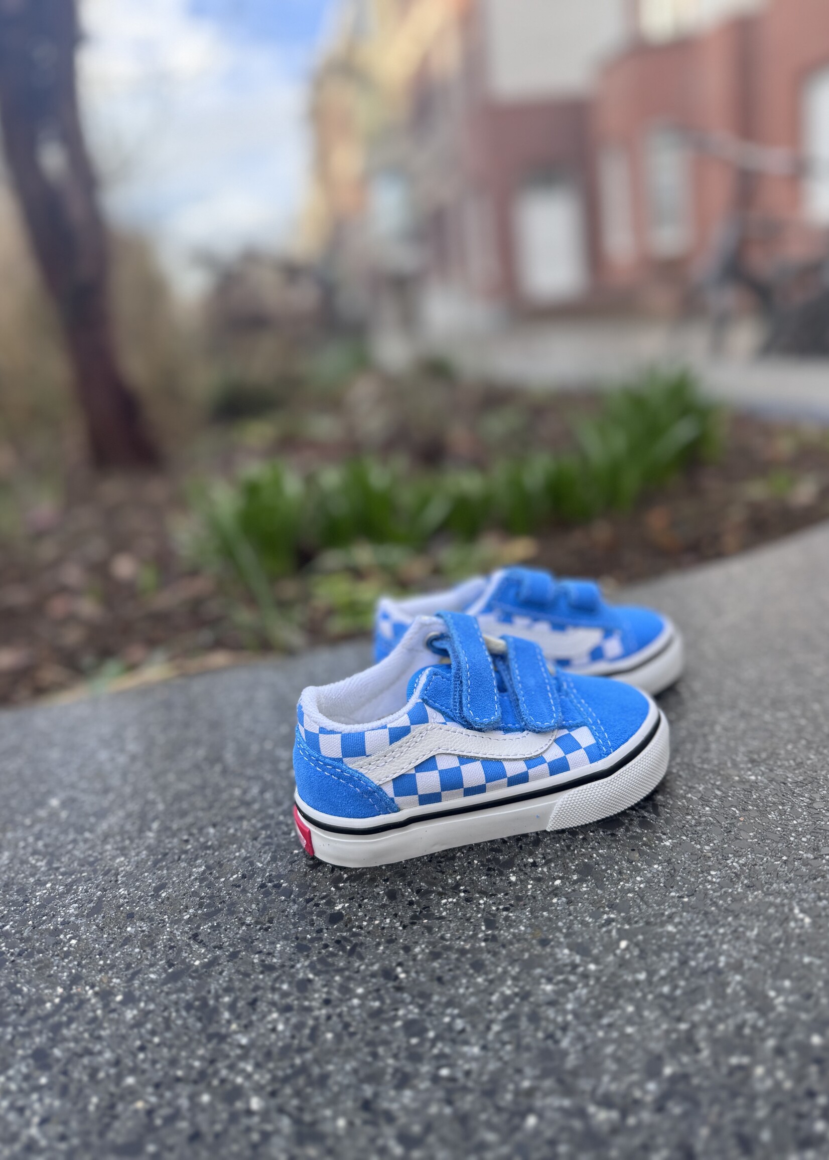 Vans old skool theory checkerboard bright azure