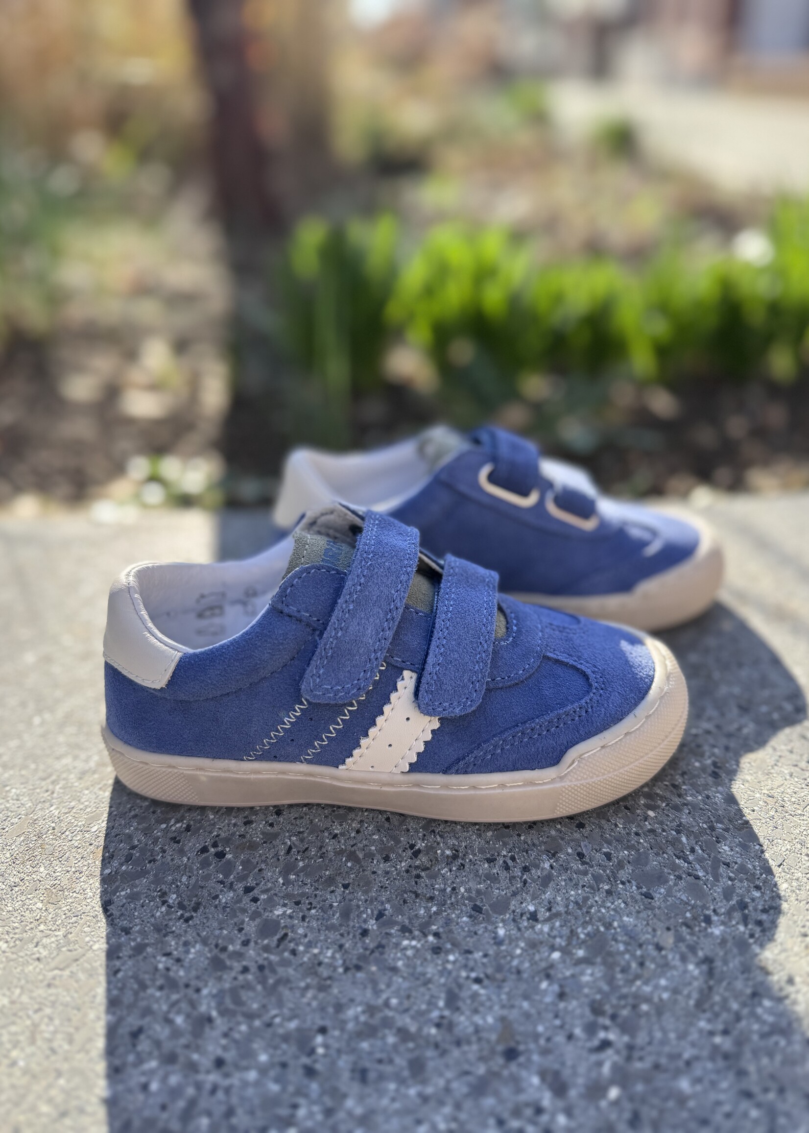 Naturino Riby azure milk