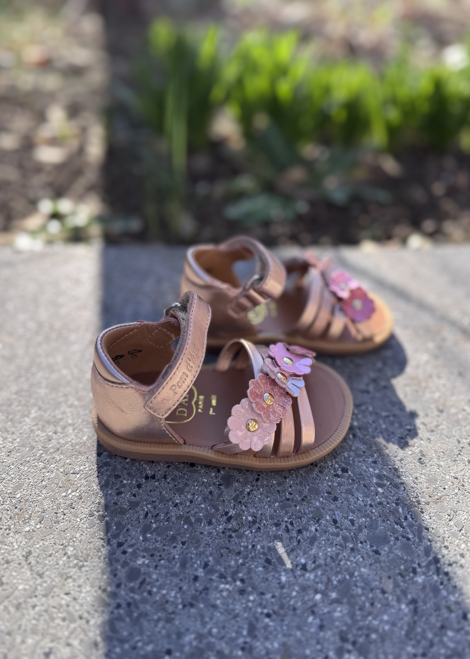 Pom d'api  poppy multi flo laminato cuivre multi rose