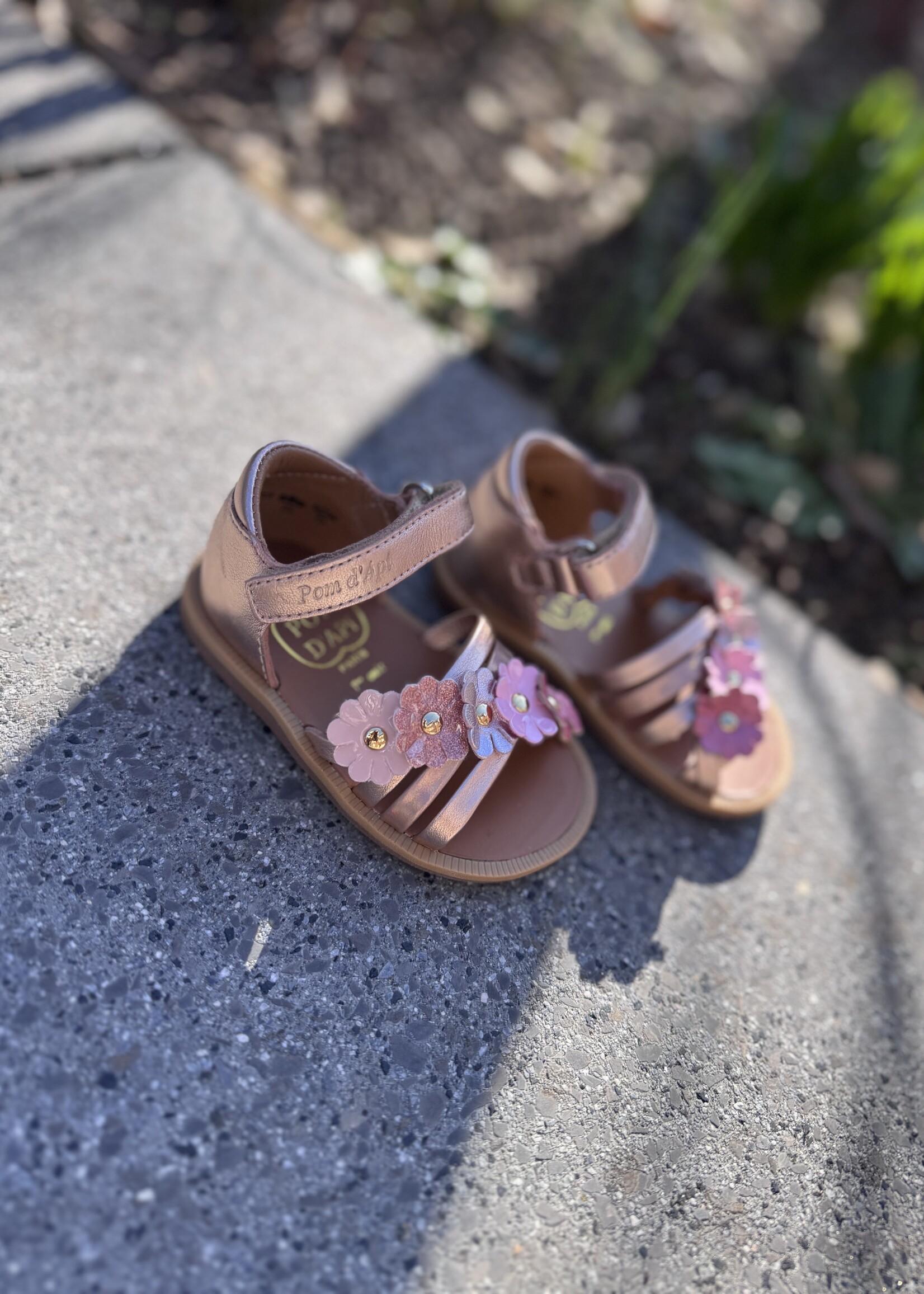 Pom d'api  poppy multi flo laminato cuivre multi rose