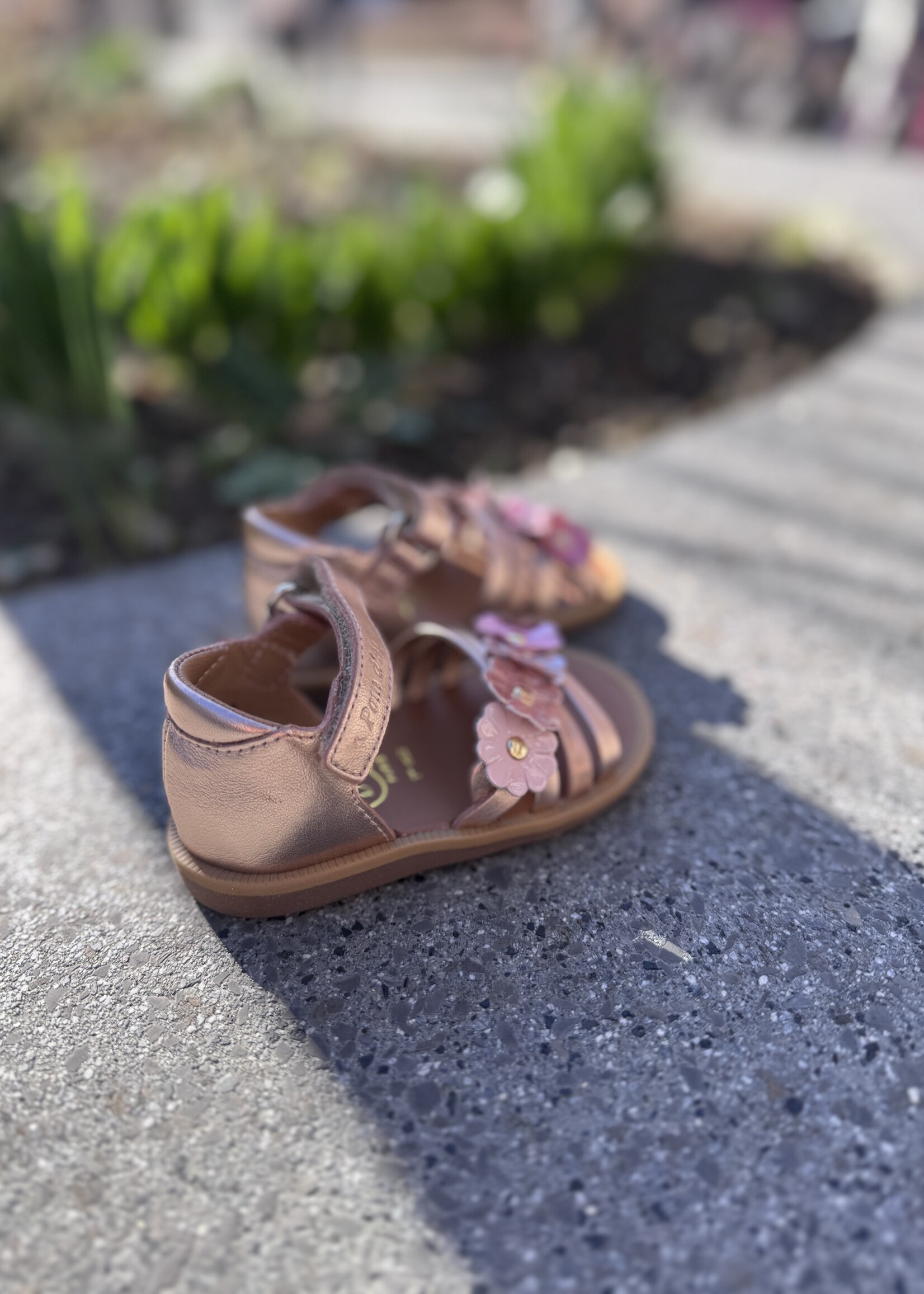 Pom d'api  poppy multi flo laminato cuivre multi rose