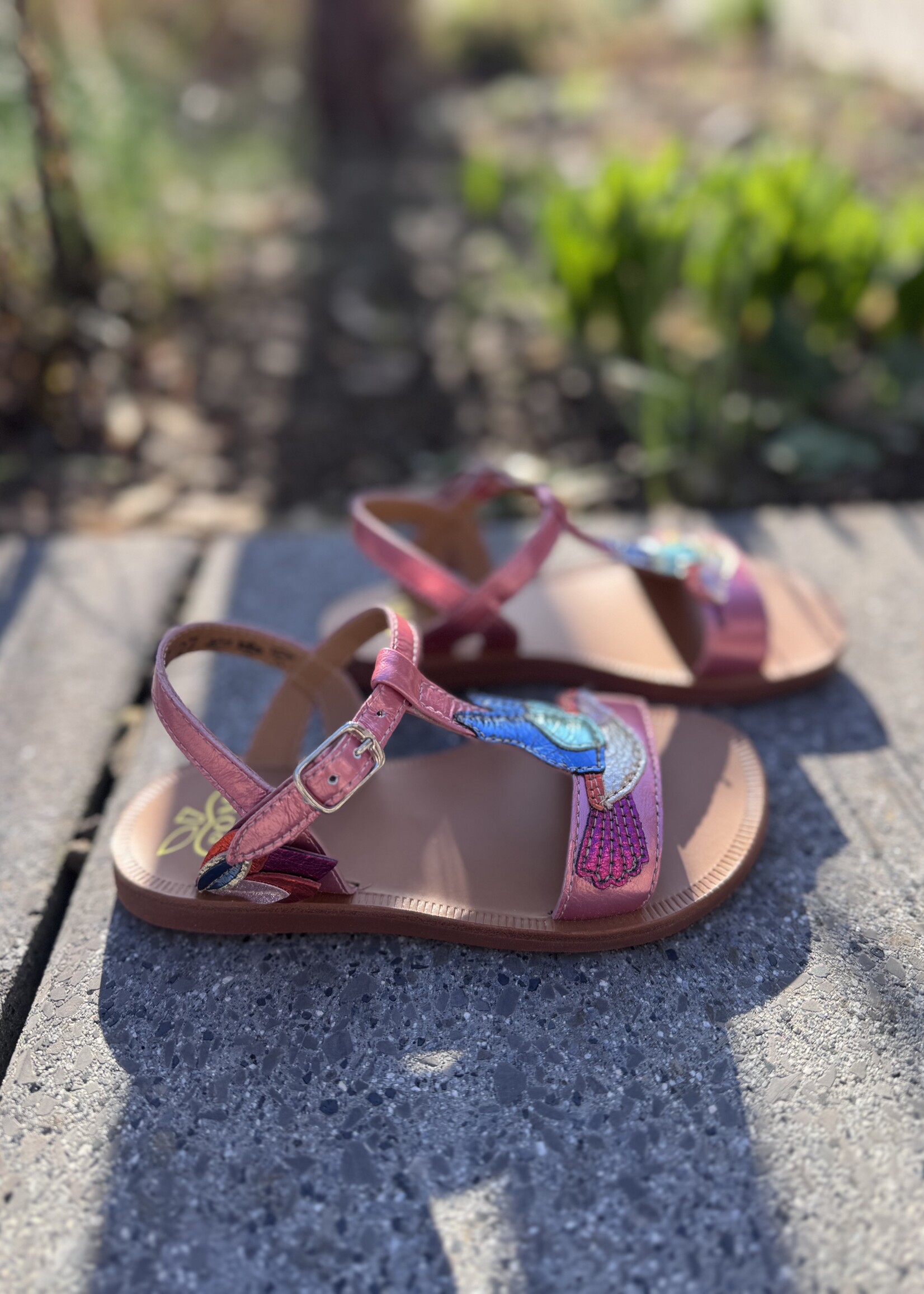 Pom d'api  plagette colibri laminato pink