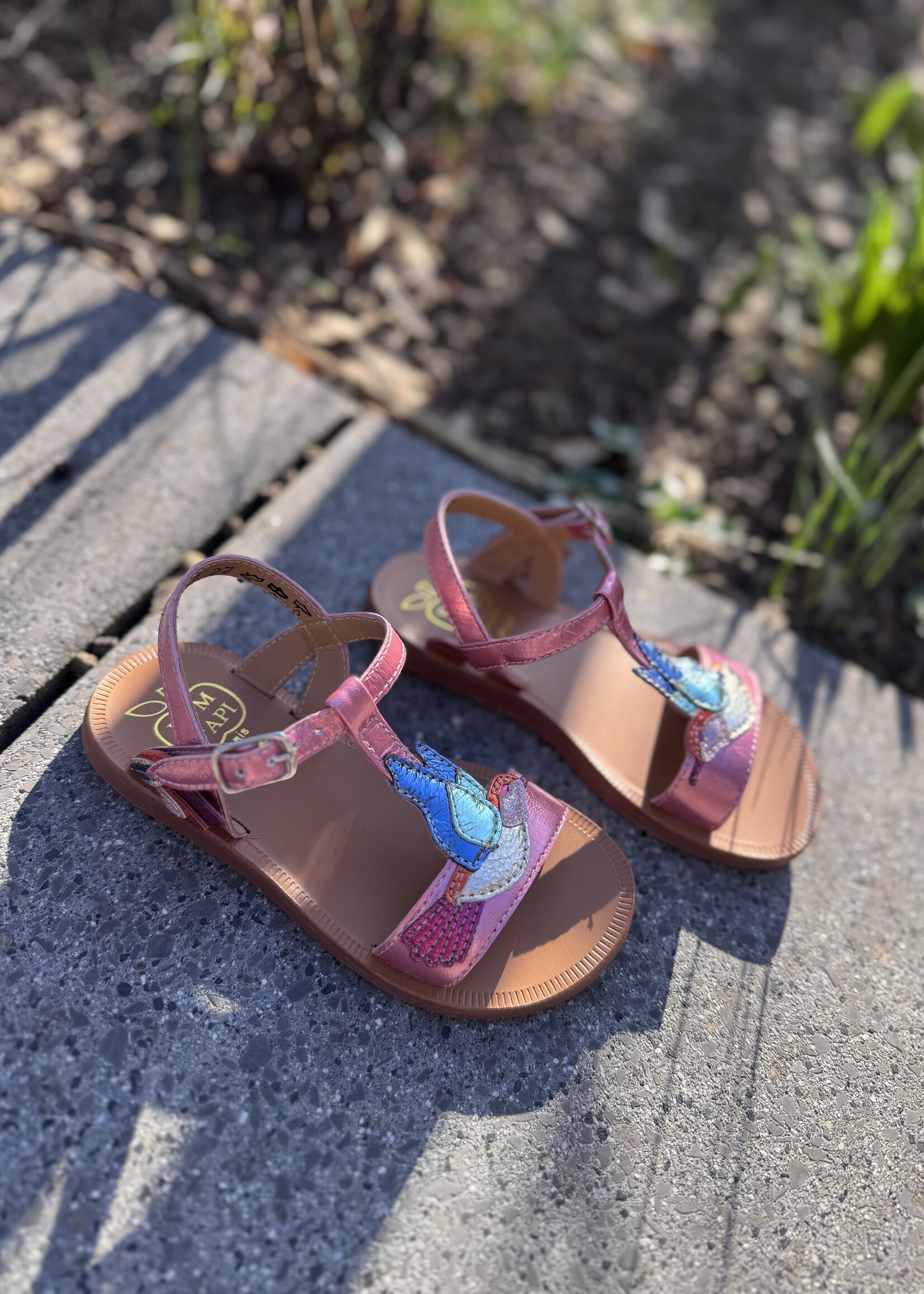 Pom d'api  plagette colibri laminato pink