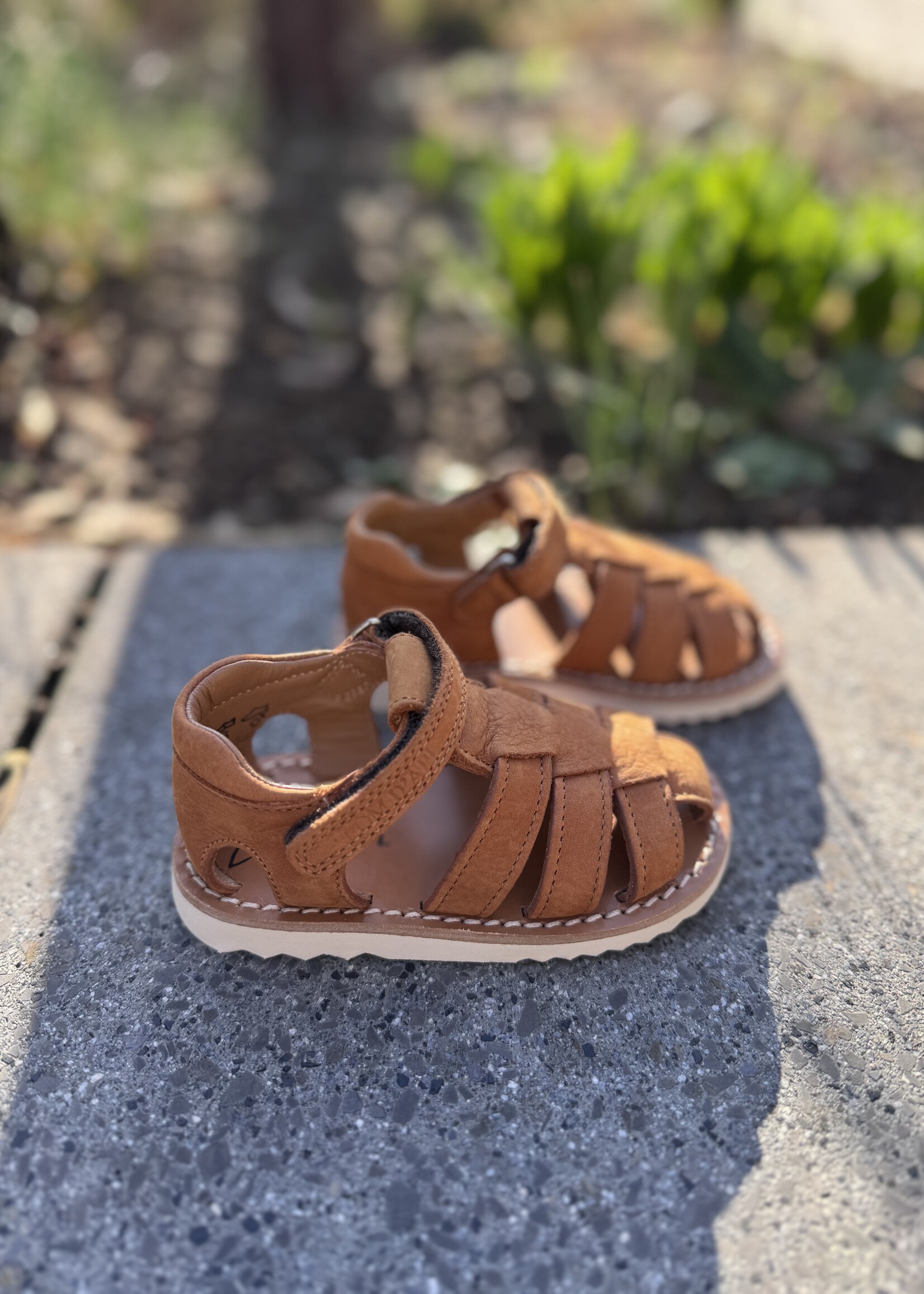 Pom d'api waff papy nubuck camel