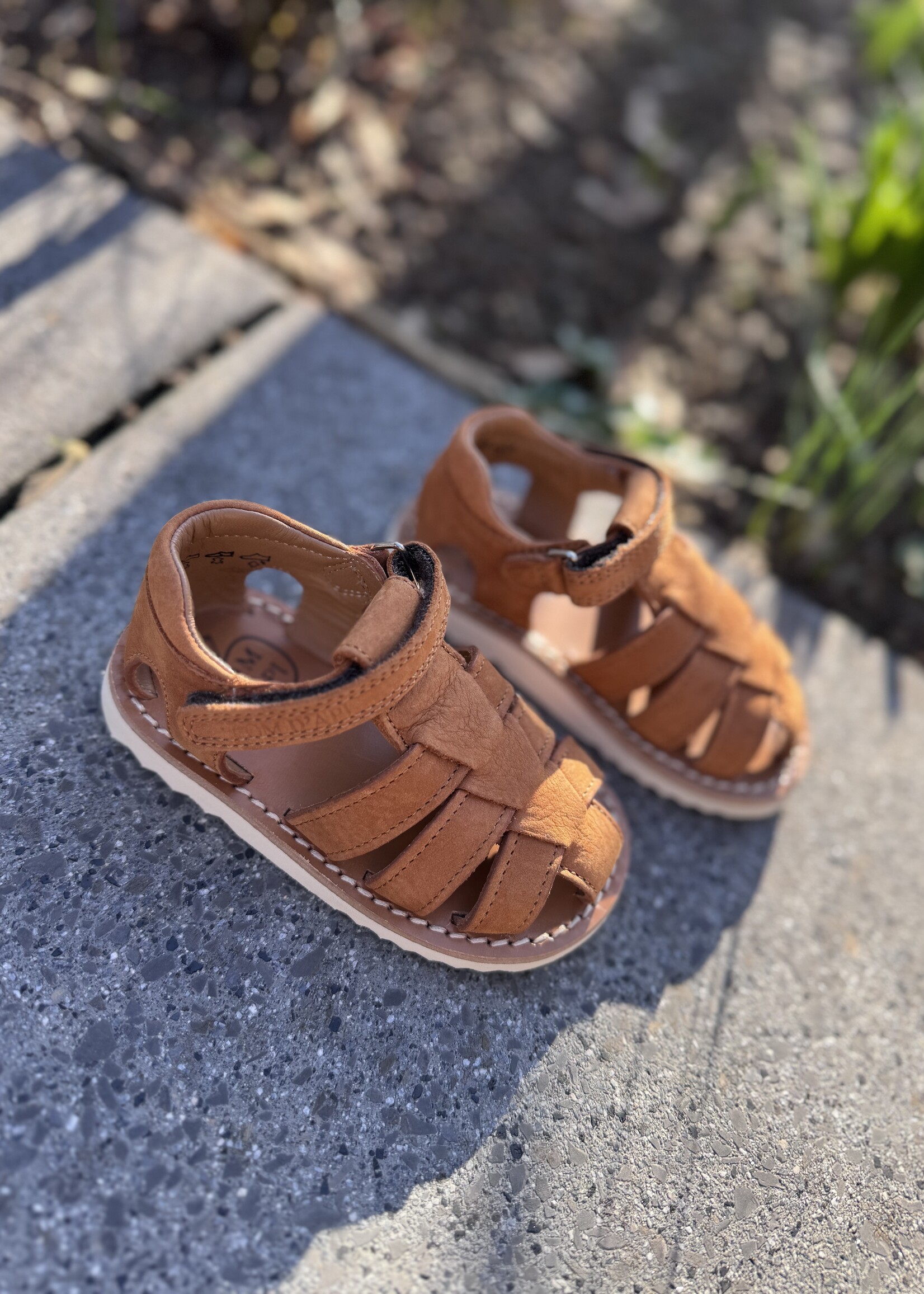 Pom d'api waff papy nubuck camel