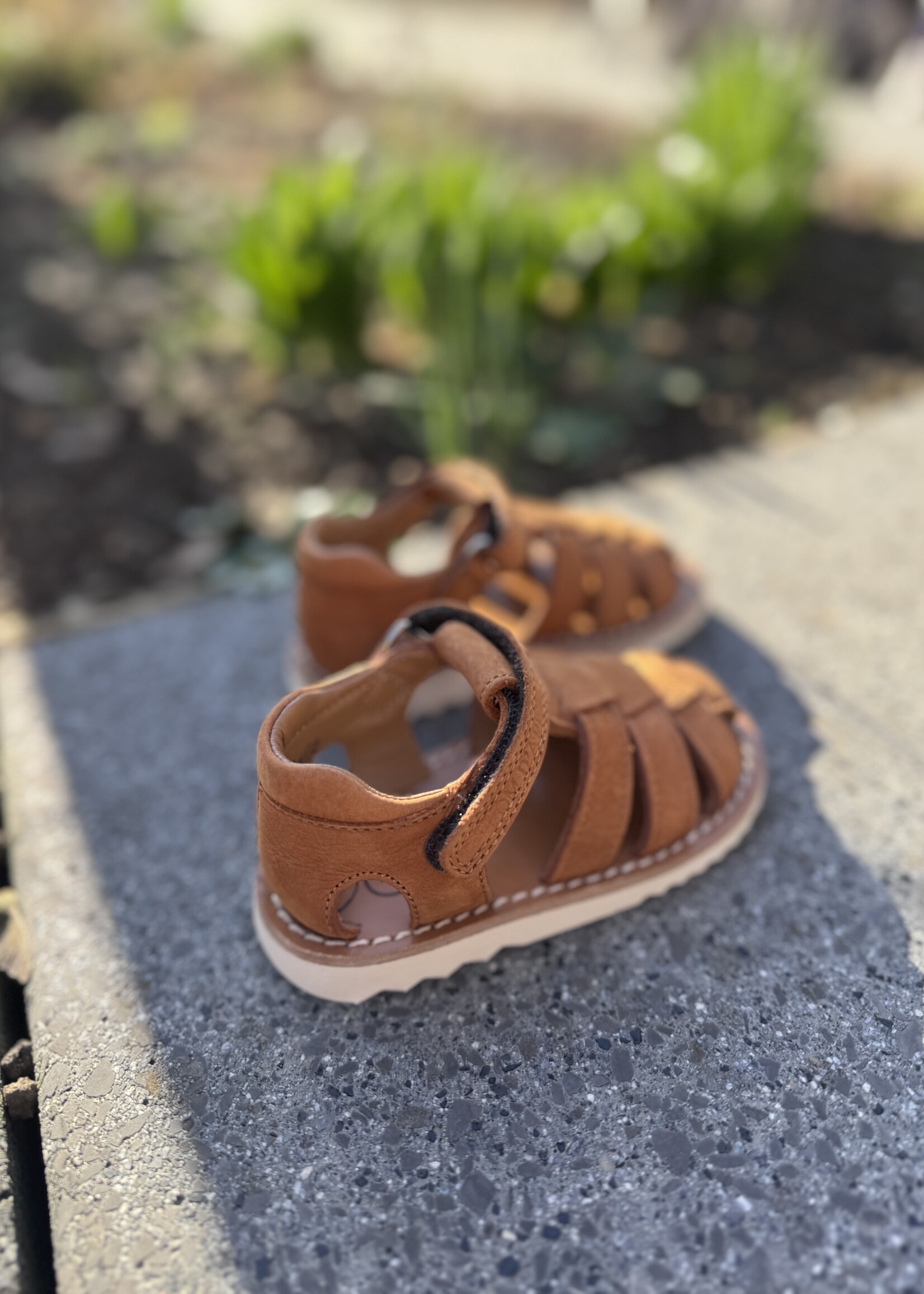 Pom d'api waff papy nubuck camel