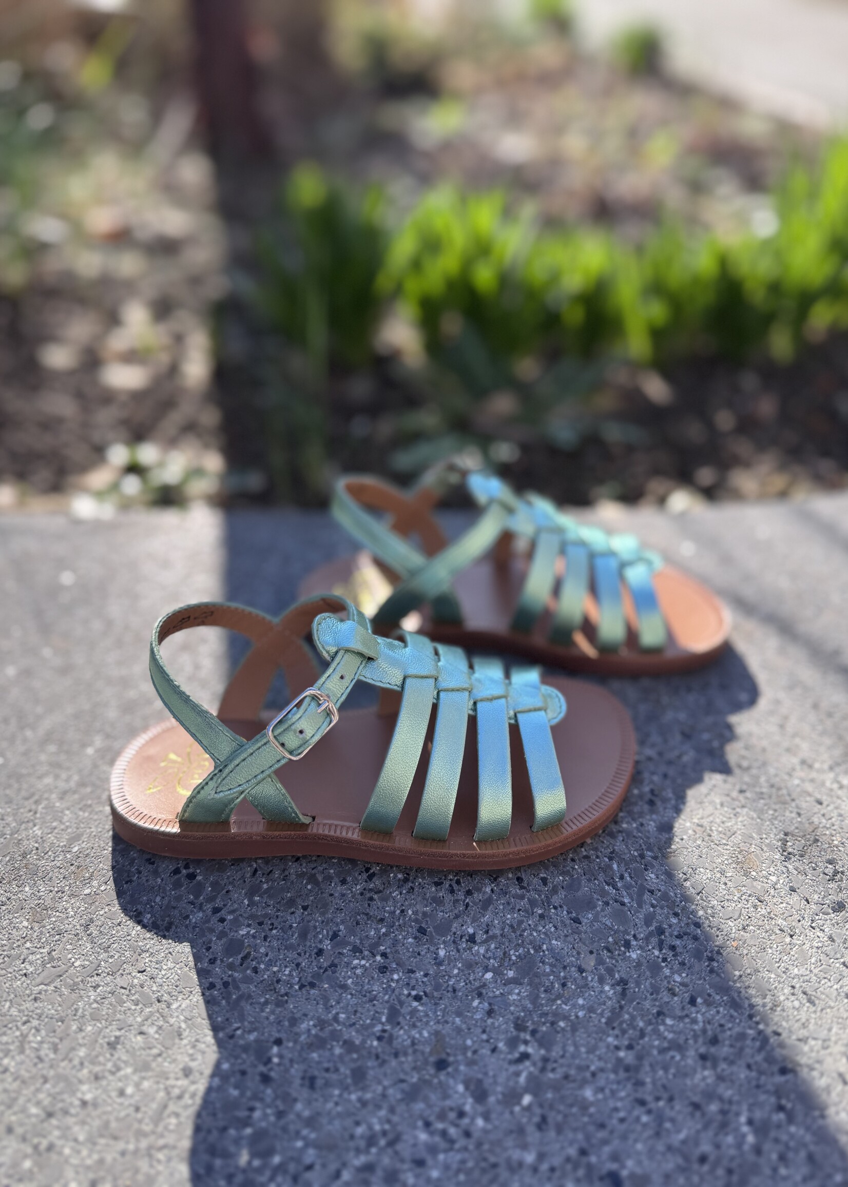 Pom d'api plagette strap laminato vert d'eau