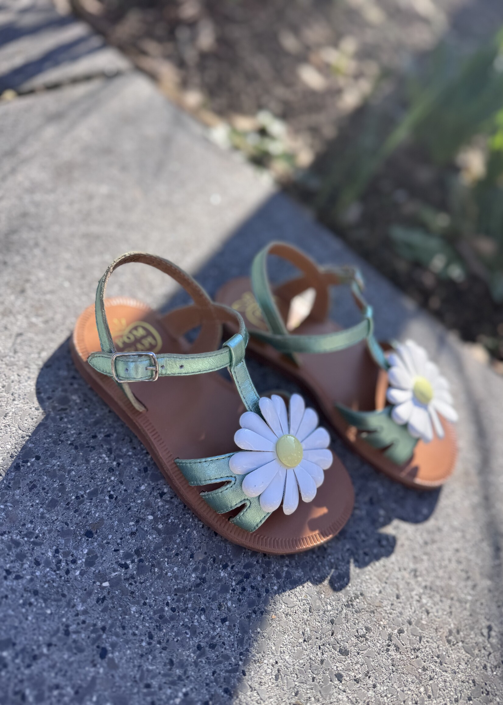 Pom d'api plagette big flo laminato vert d'eau