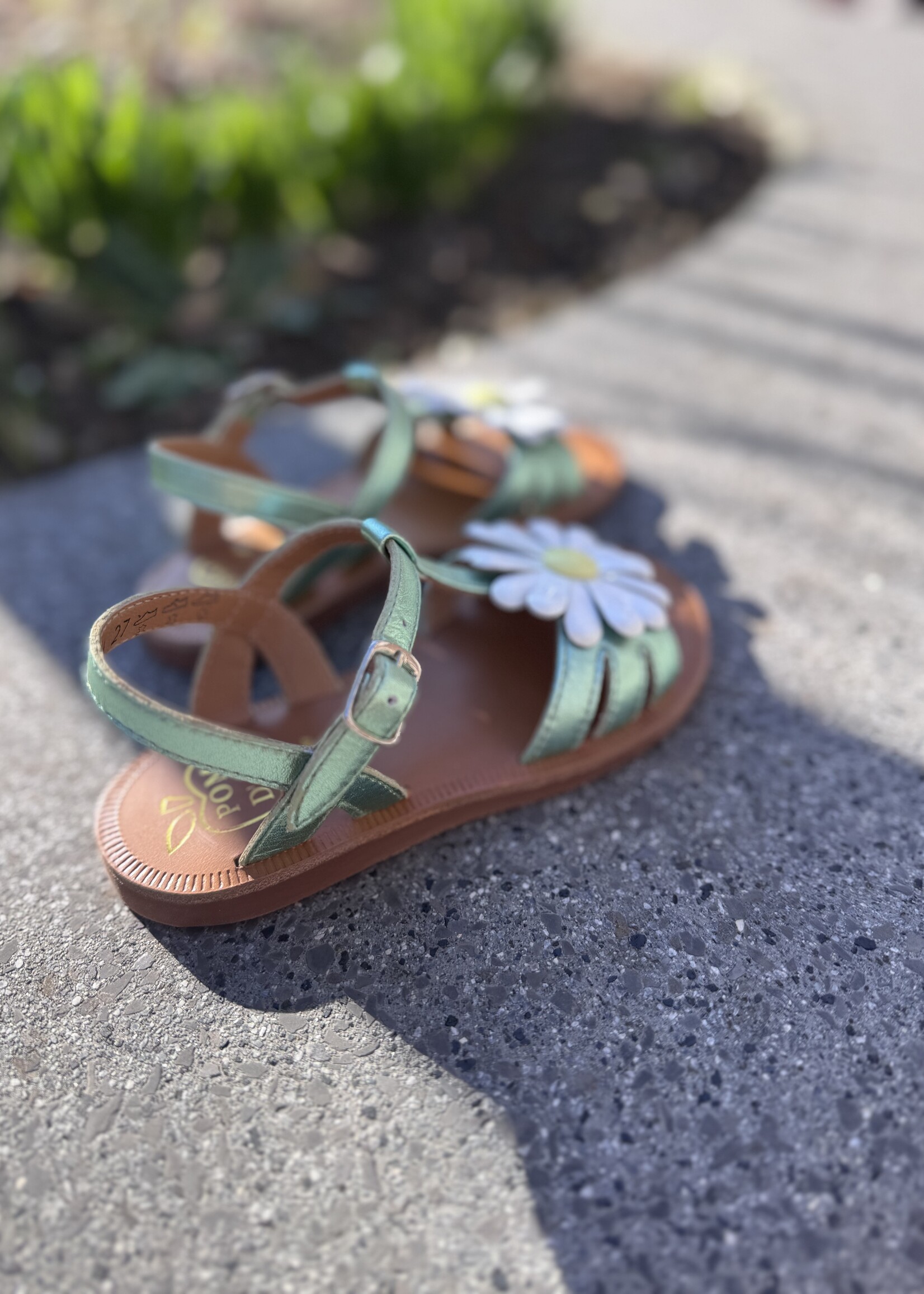 Pom d'api plagette big flo laminato vert d'eau