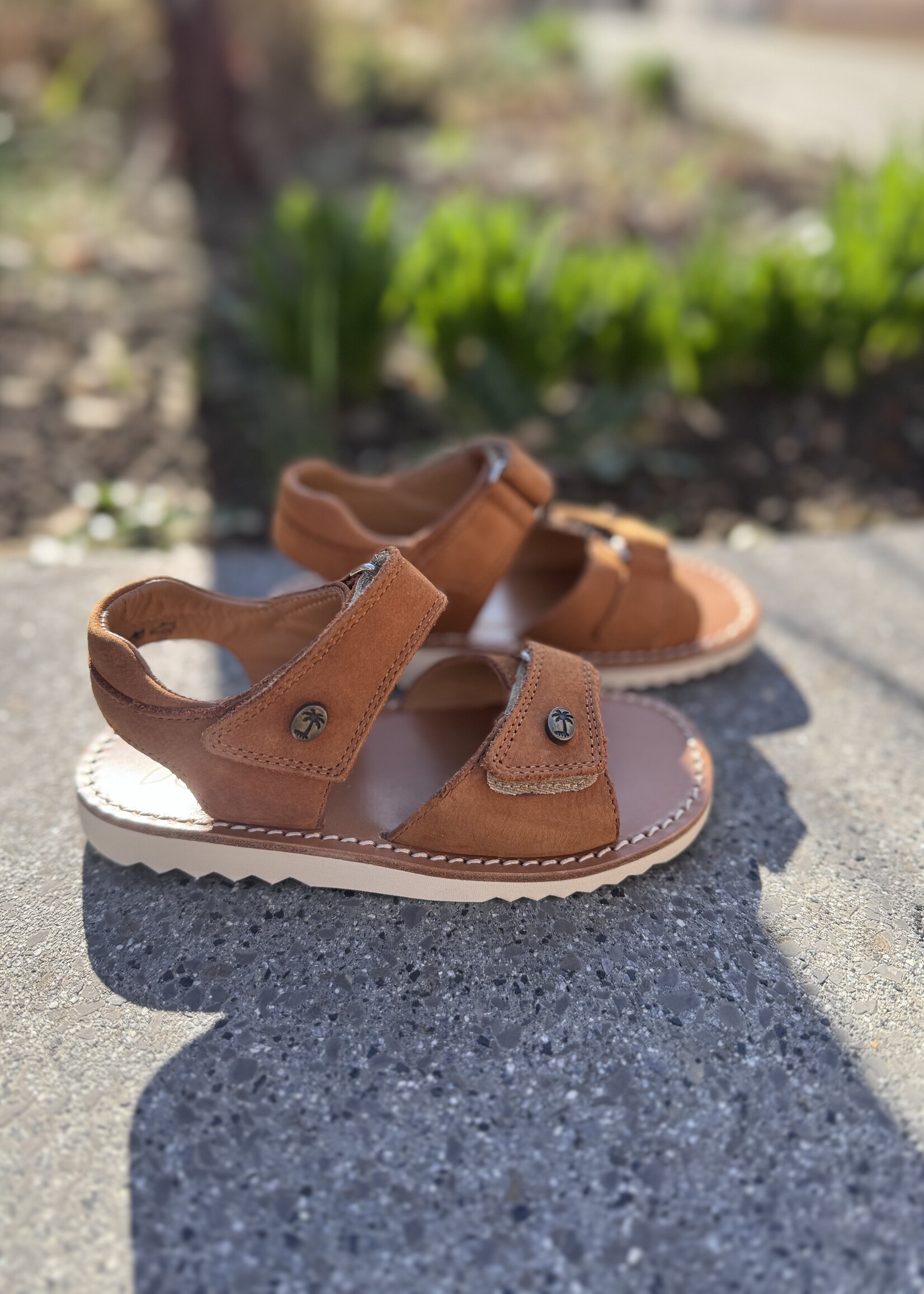 Pom d'api waff easy nubuck camel