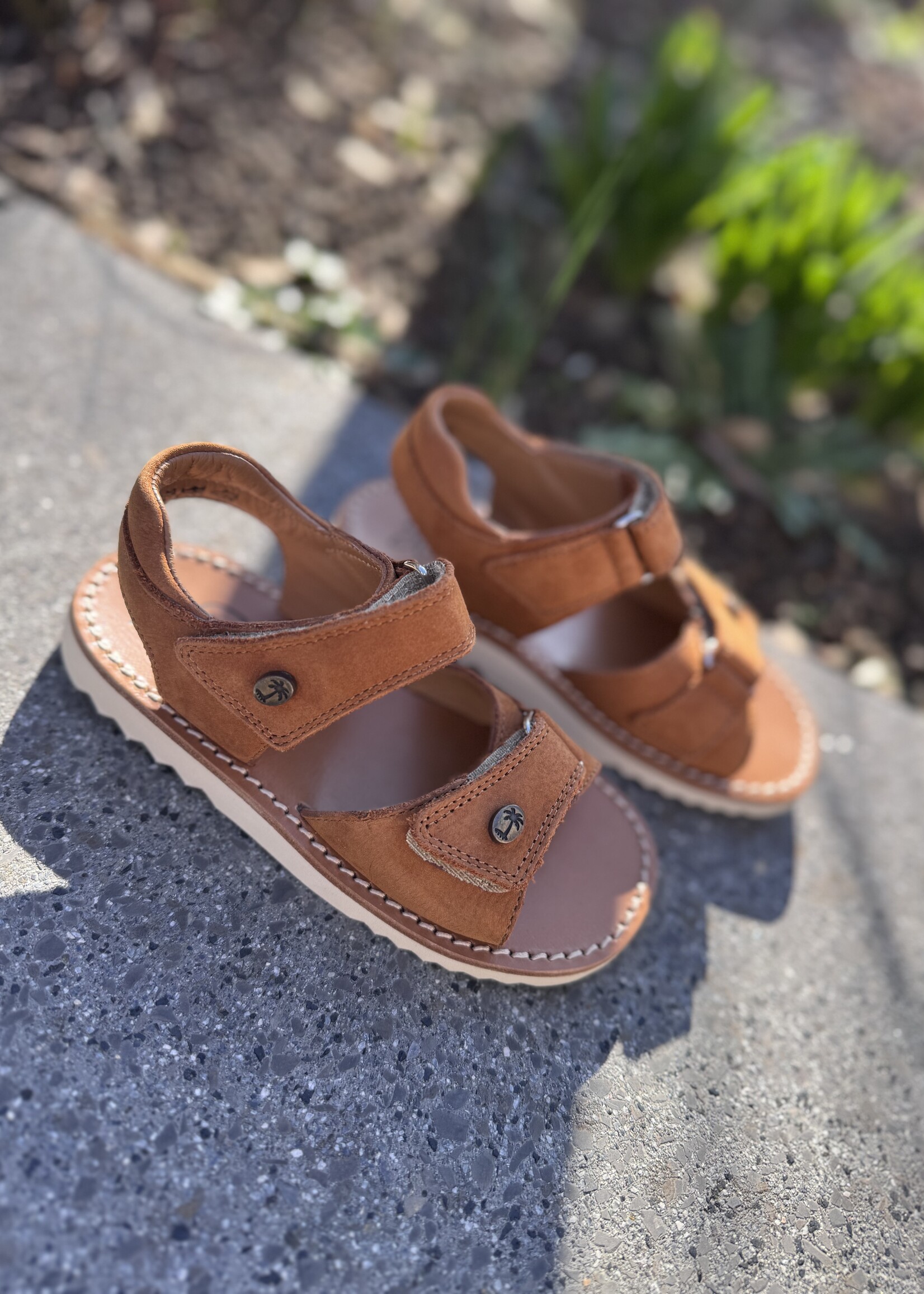 Pom d'api waff easy nubuck camel