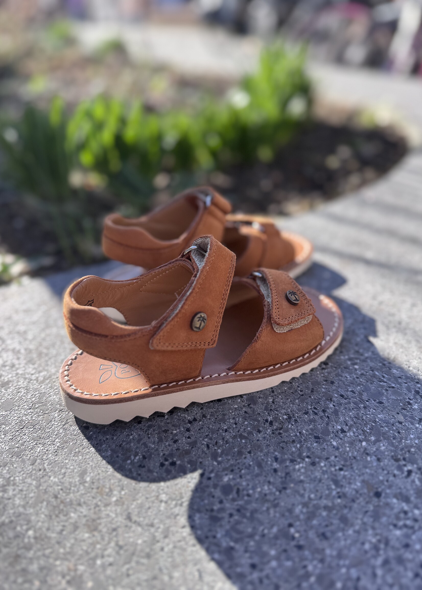 Pom d'api waff easy nubuck camel