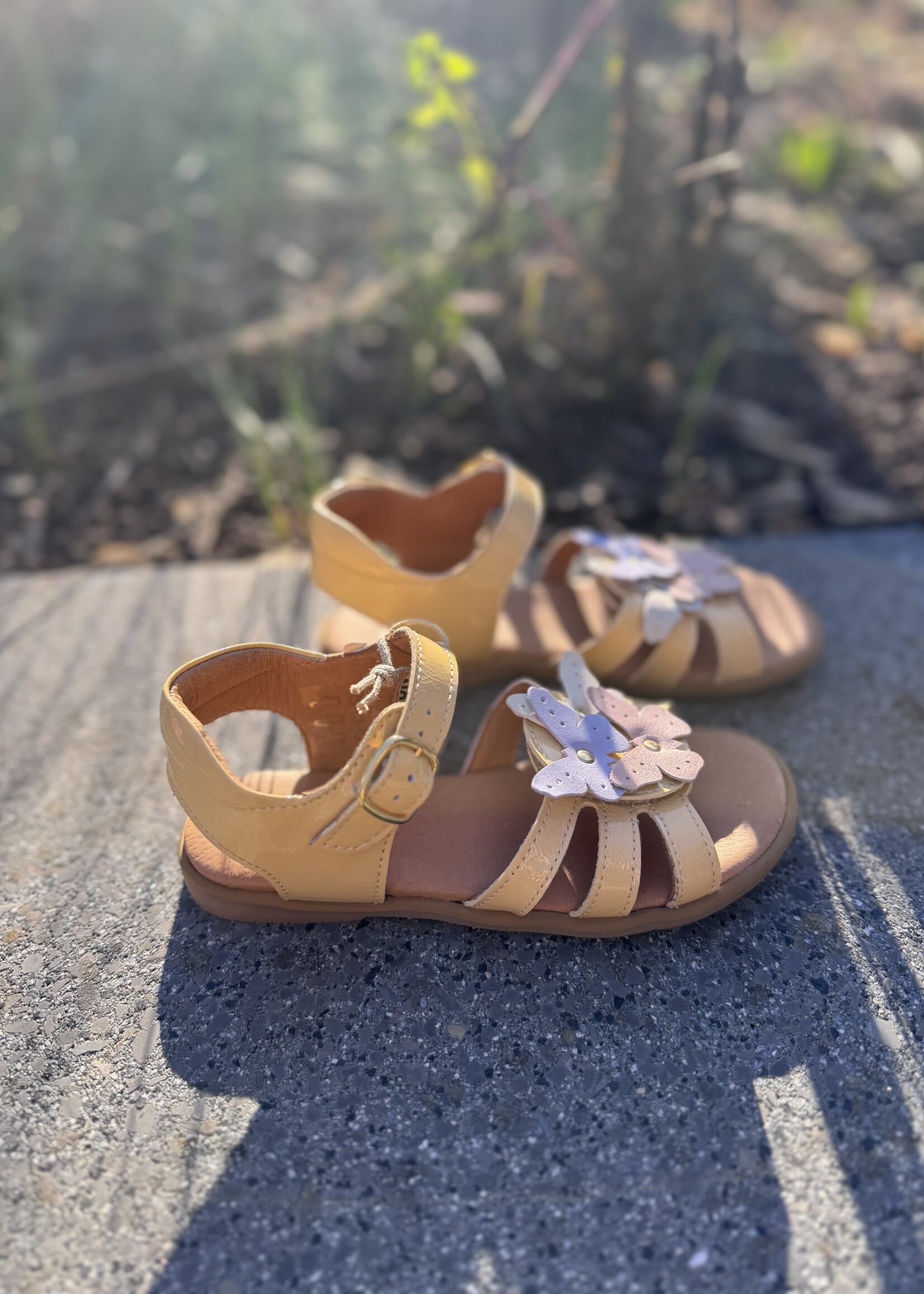 Angulus 0700-01 open toe sandal with butterflies mellow