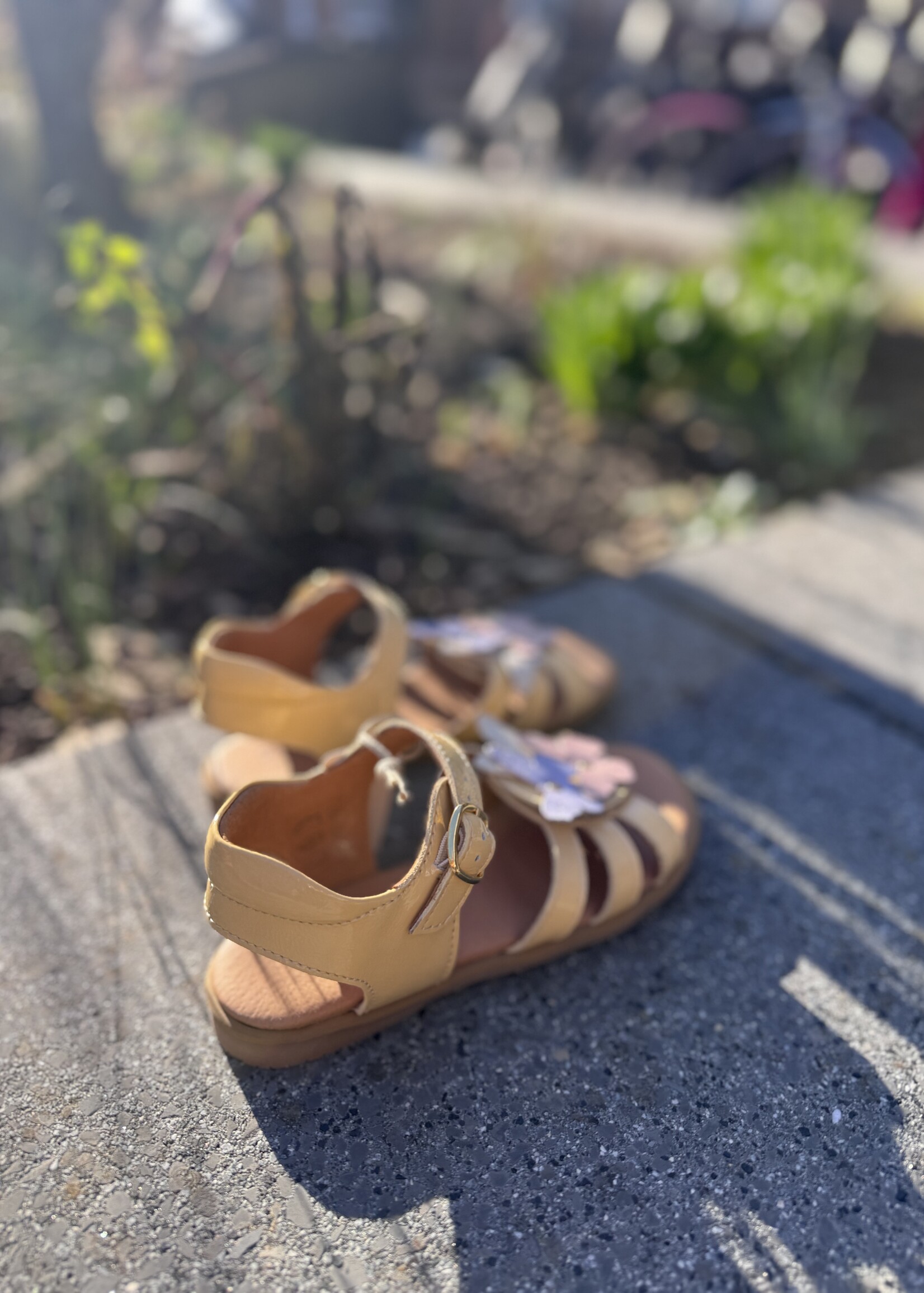 Angulus 0700-01 open toe sandal with butterflies mellow