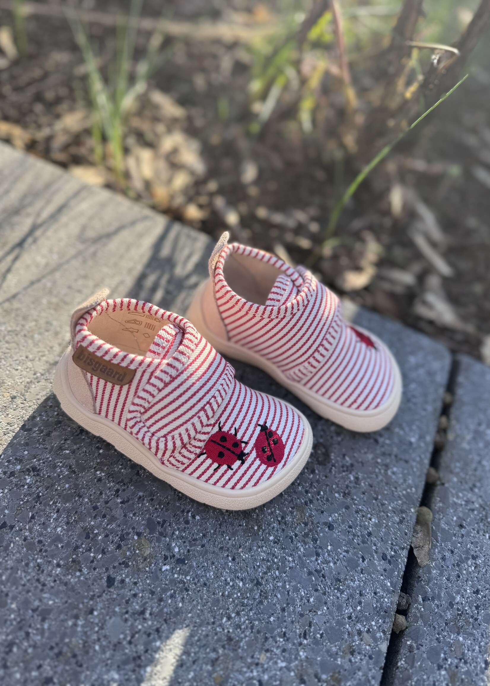 Bisgaard 14102 barefoot lady bugs