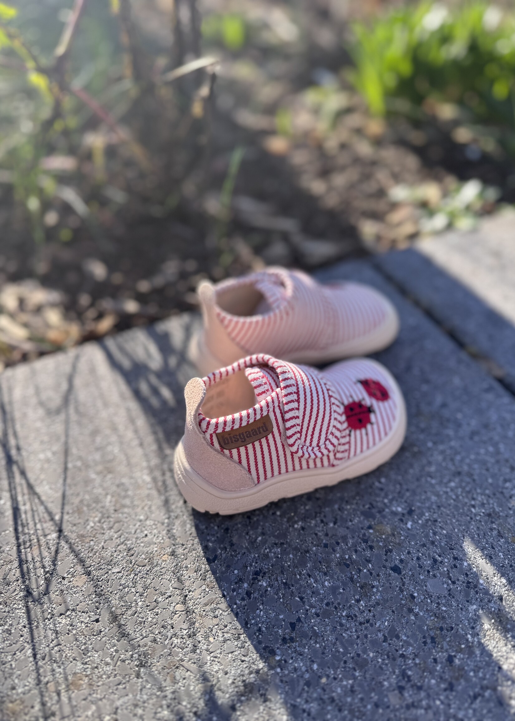 Bisgaard 14102 barefoot lady bugs