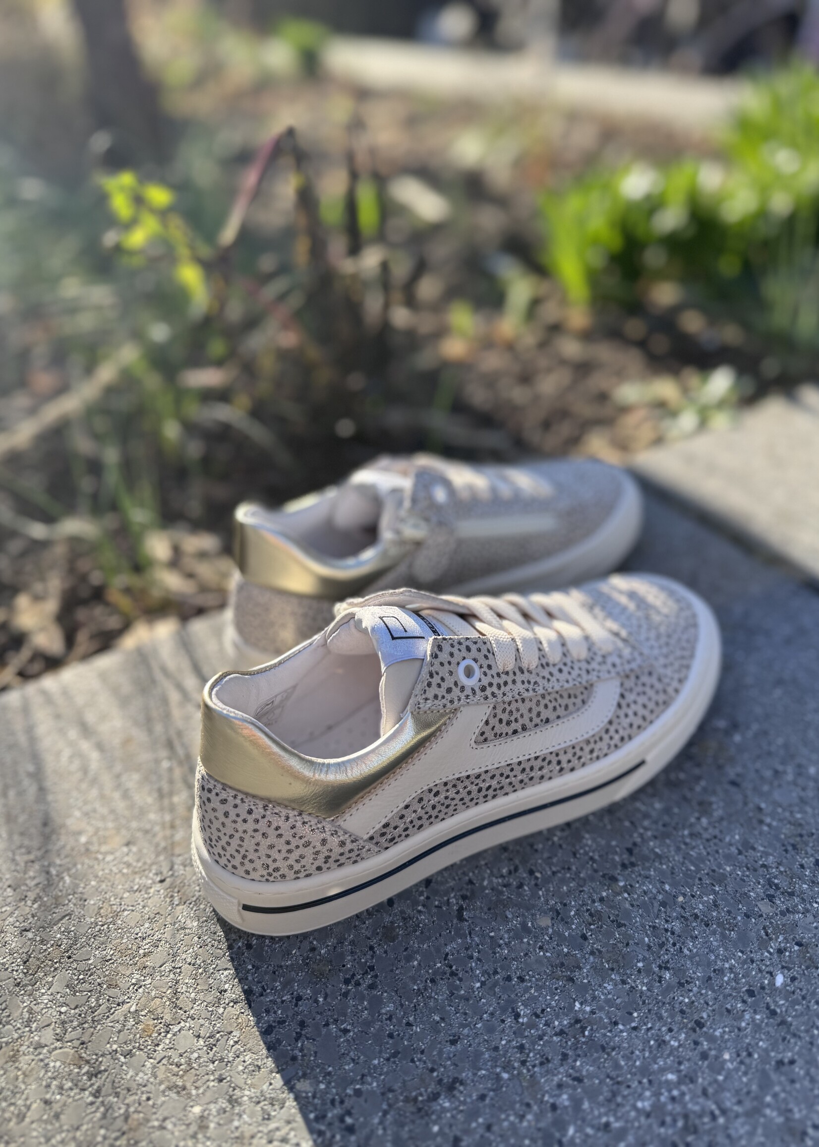 6723IO skate basso indian lux oxford tan