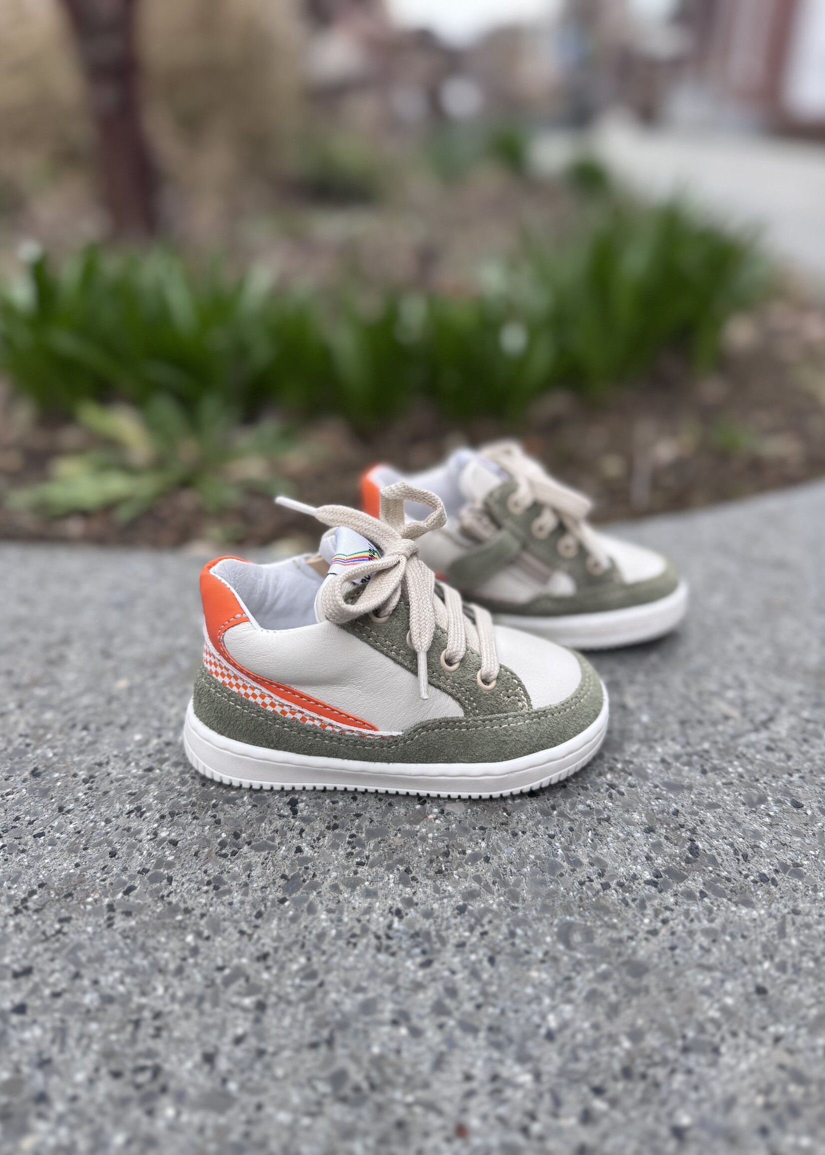 Romagnoli 8034R328 eerste stapper verde