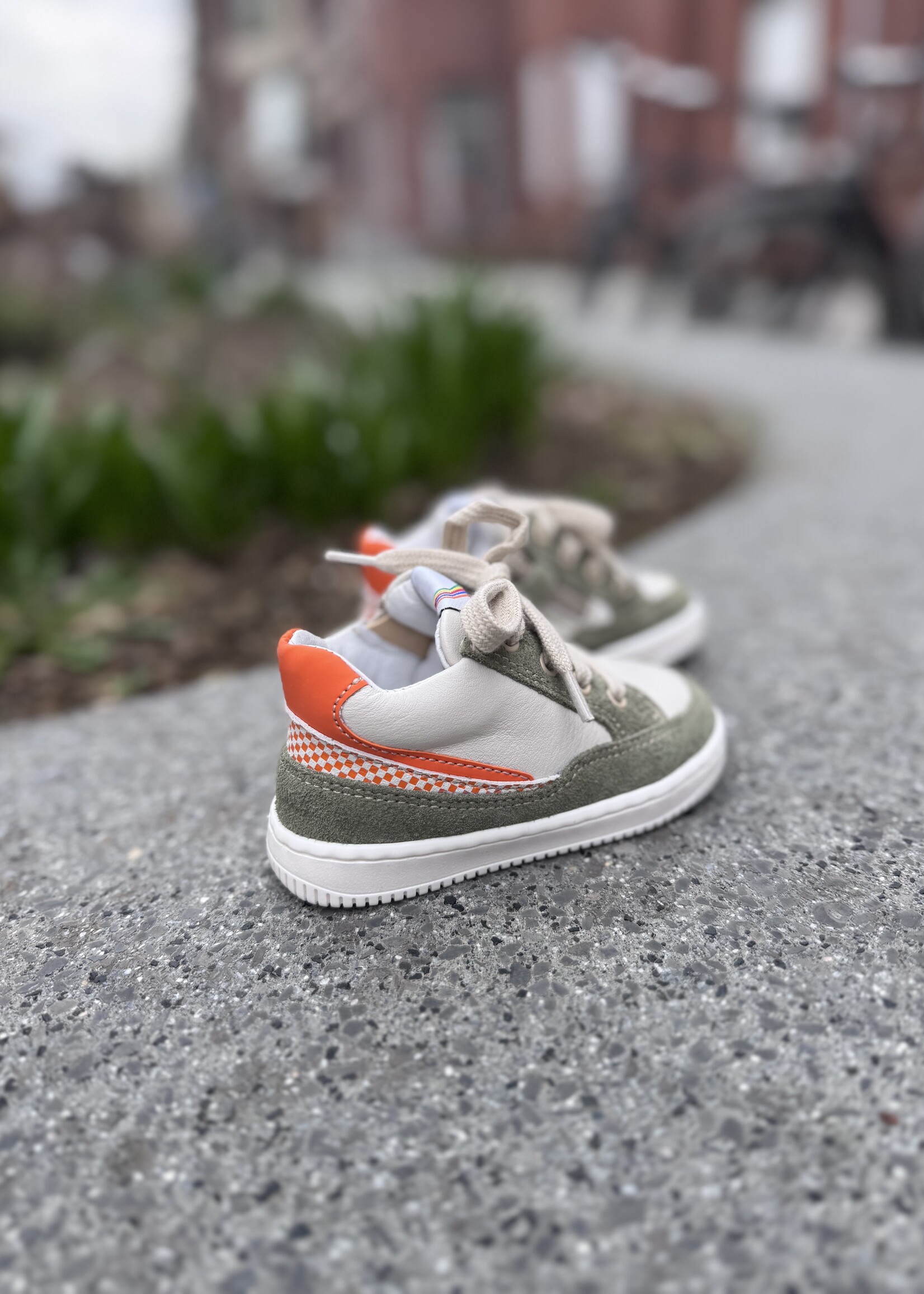 Romagnoli 8034R328 eerste stapper verde