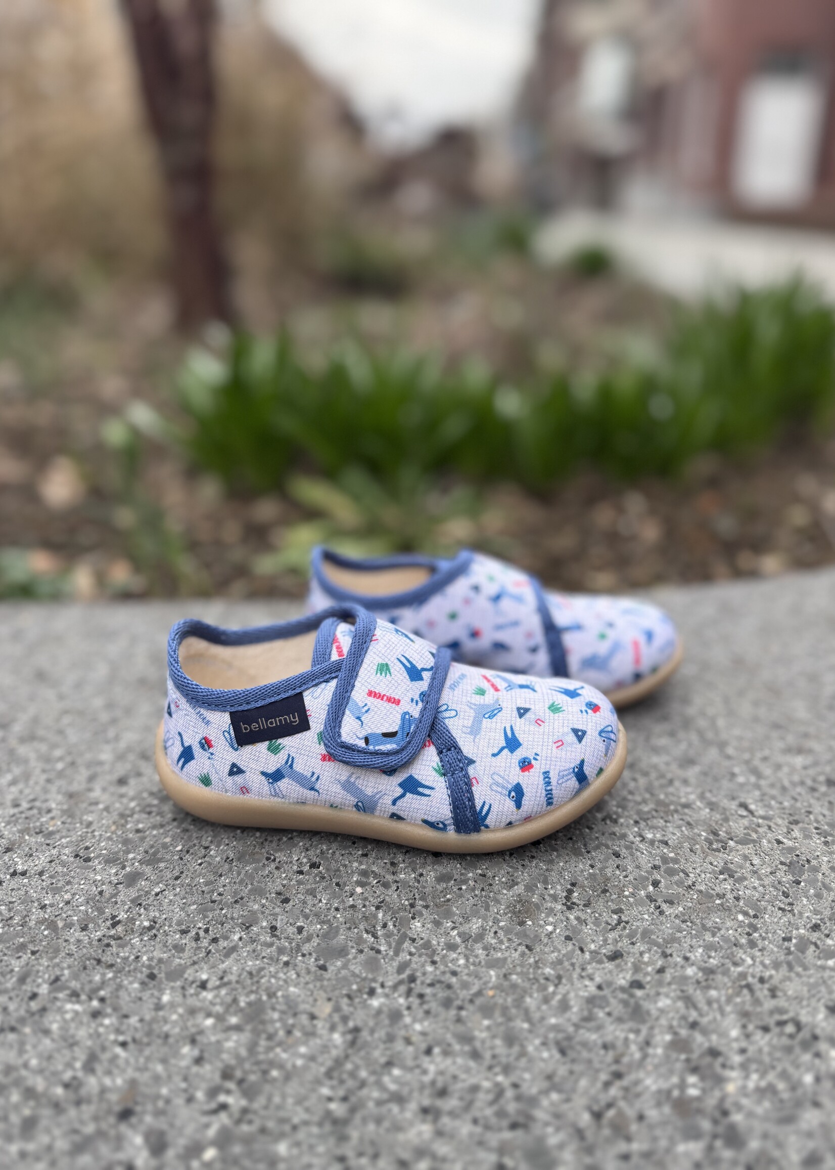 Bellamy Pavel bilou Teckel