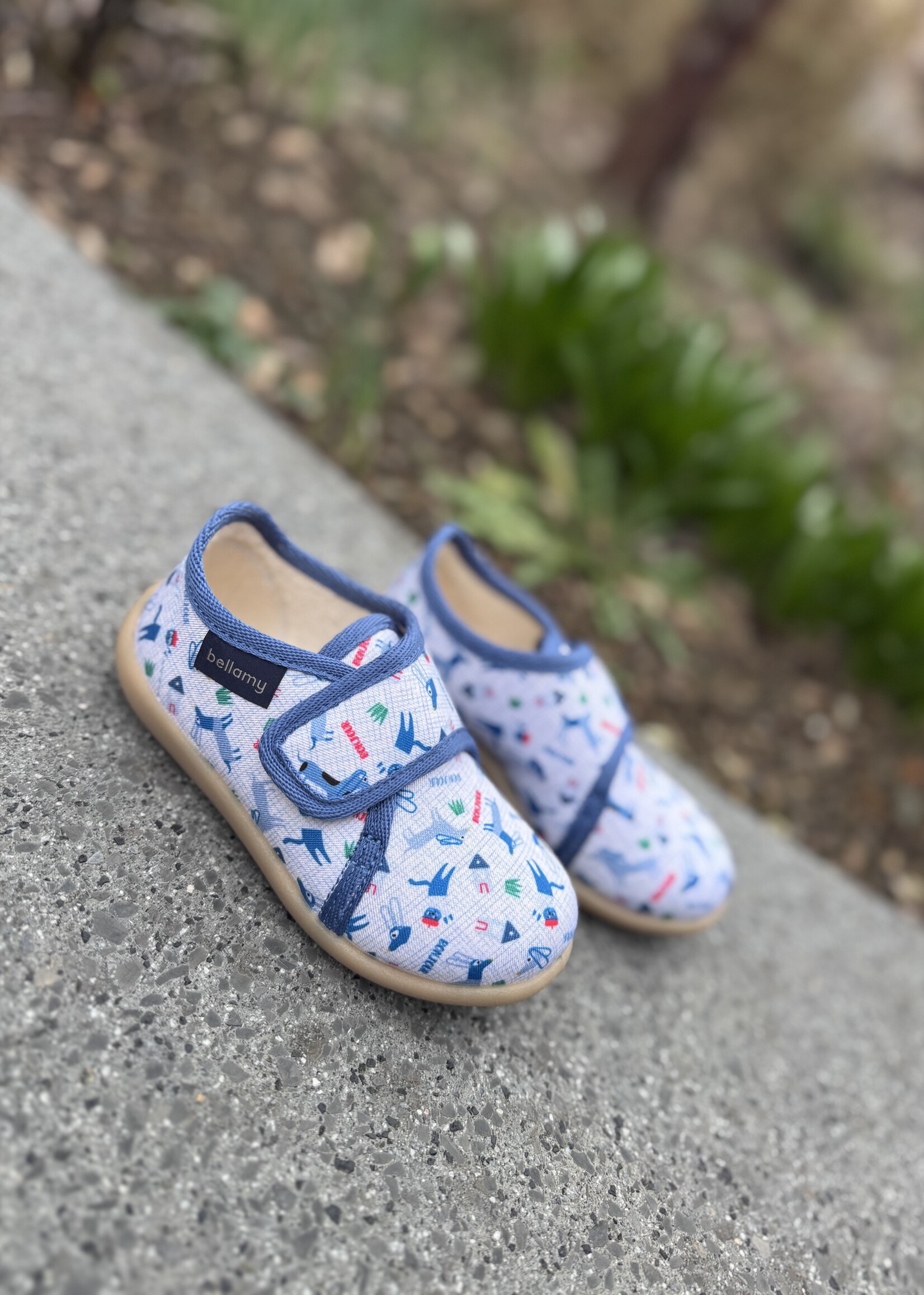 Bellamy Pavel bilou Teckel