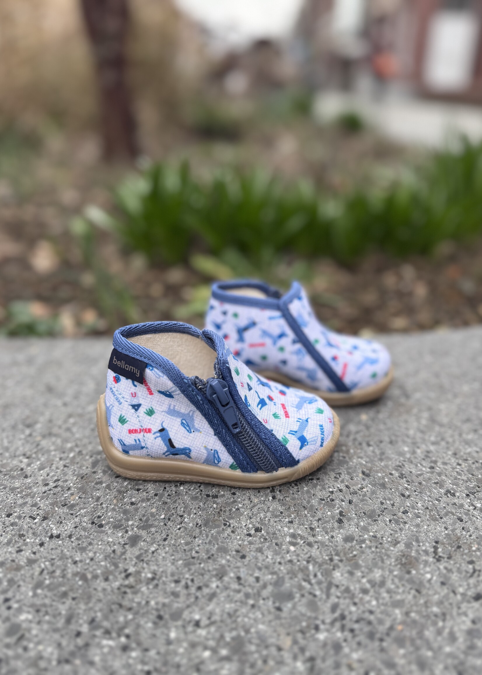 Bellamy Patou Bichou Teckel