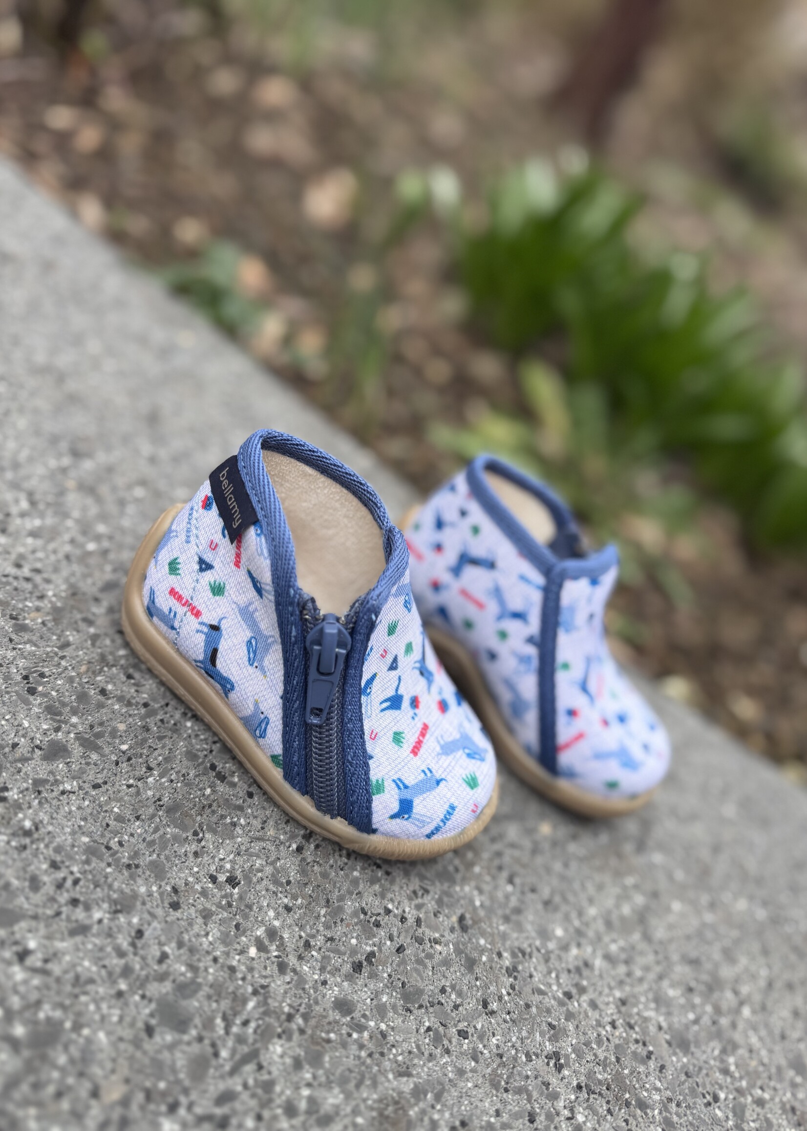 Bellamy Patou Bichou Teckel