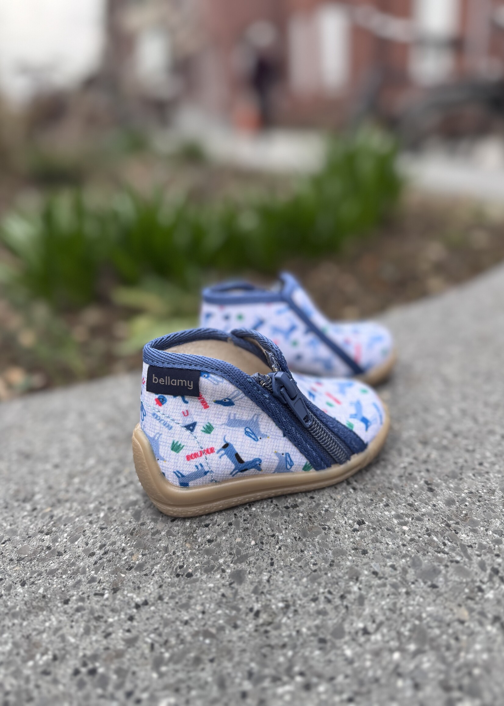 Bellamy Patou Bichou Teckel