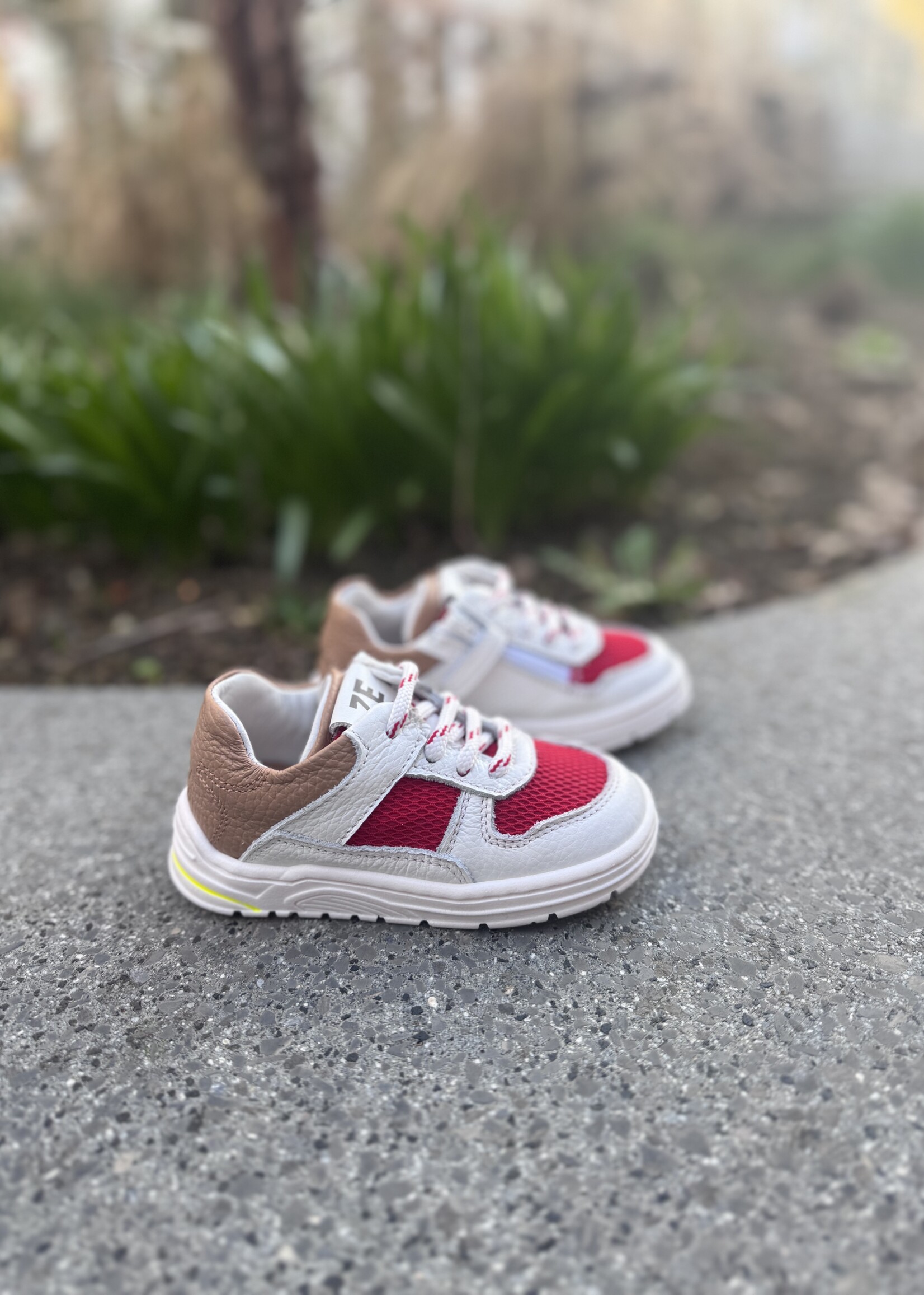 Zedo sneaker wit rood