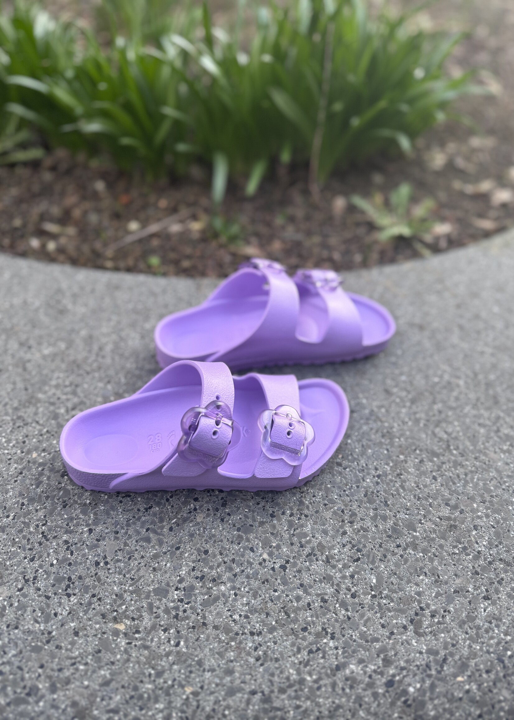 Birkenstock Arizona EVA FLB Crocus