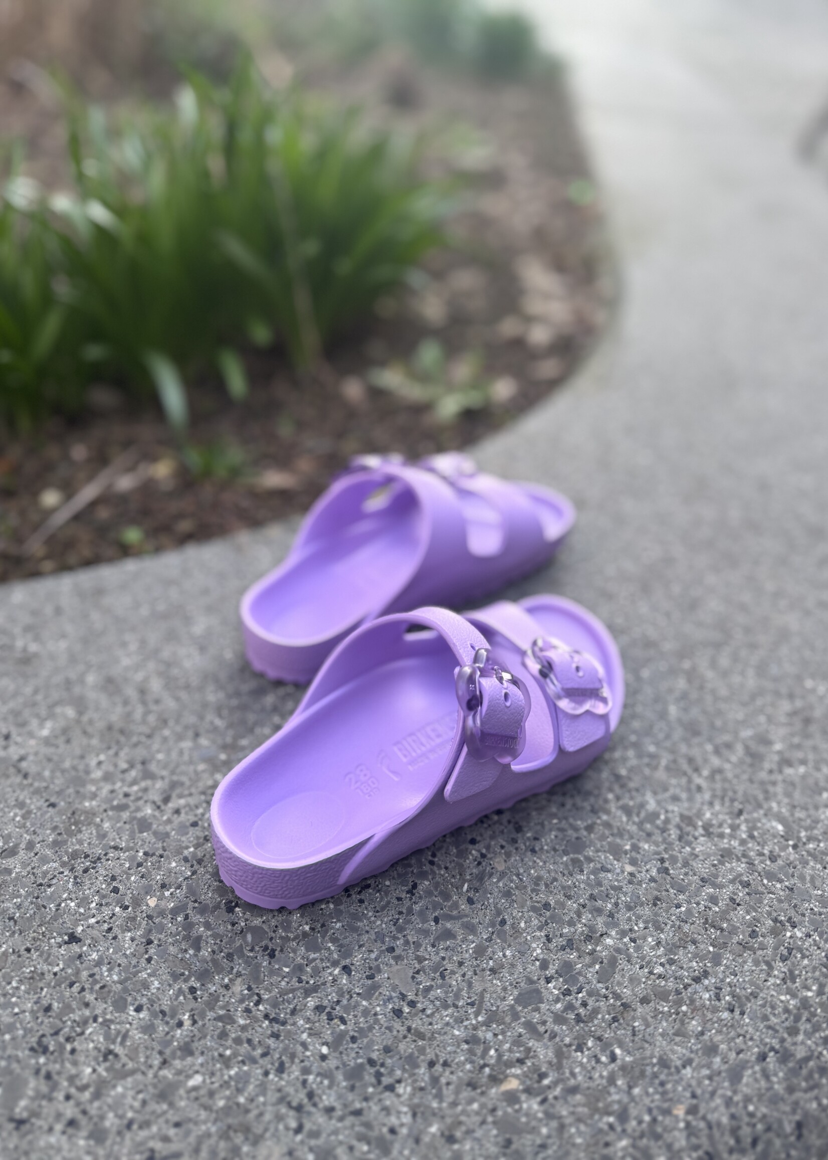 Birkenstock Arizona EVA FLB Crocus