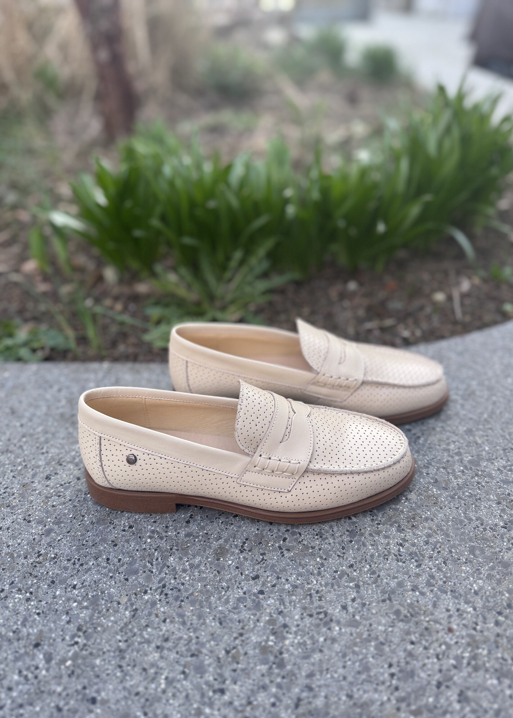 Confetti 6422-8 mocassin beige perf