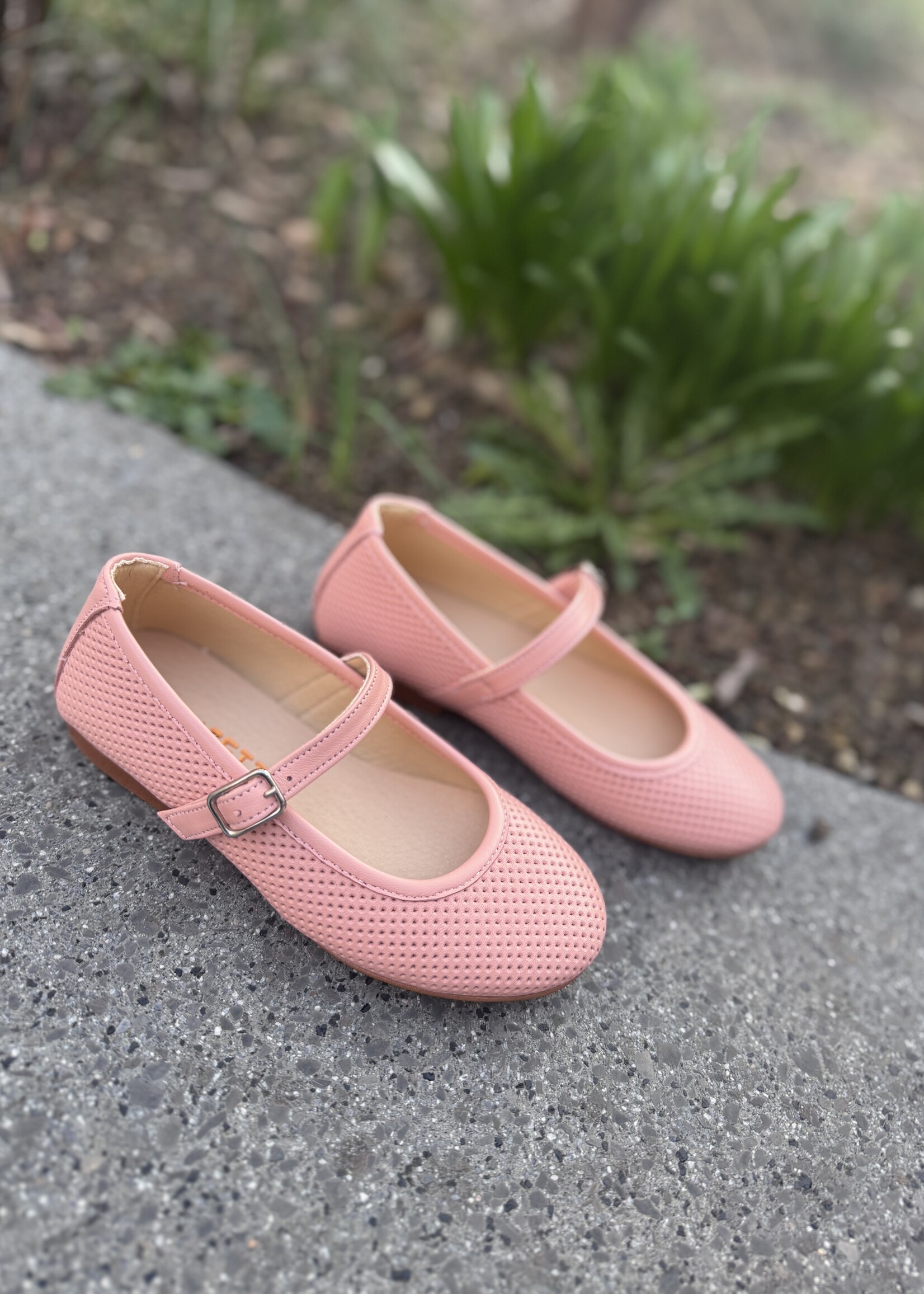 Confetti 381-2 mercedes zalmroze