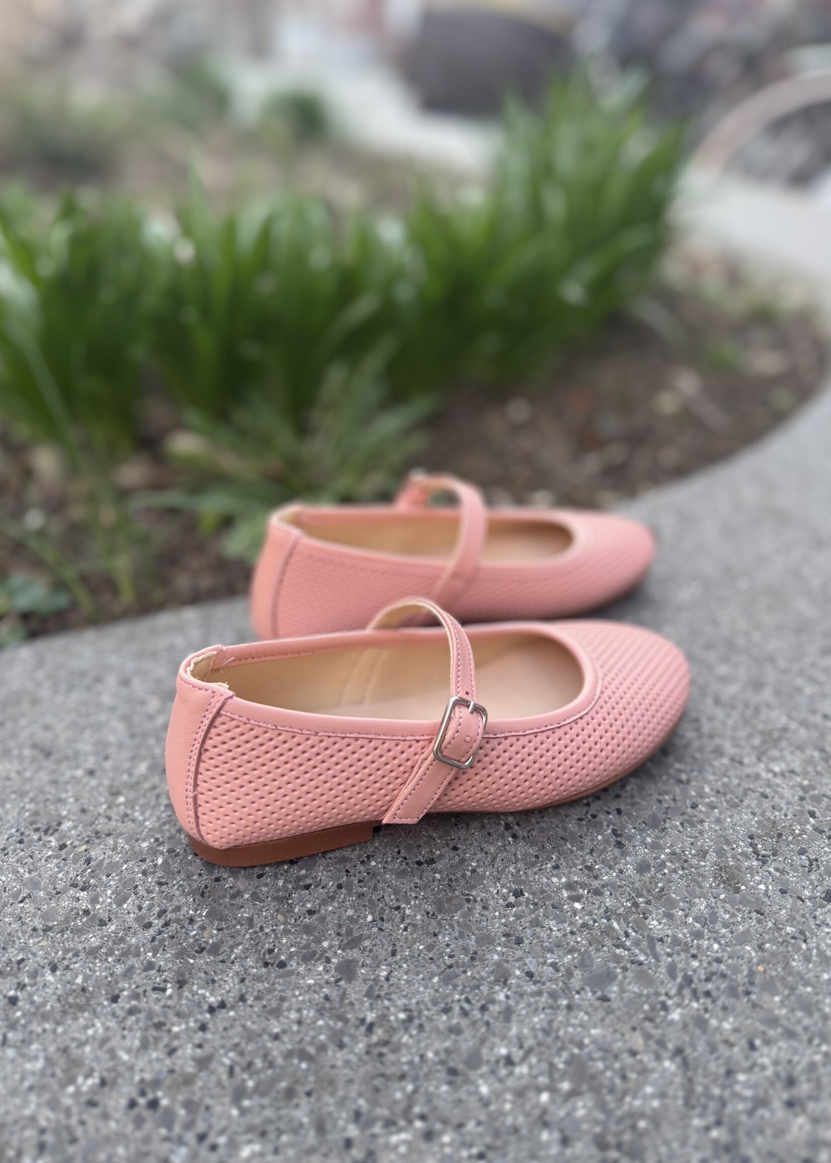 Confetti 381-2 mercedes zalmroze