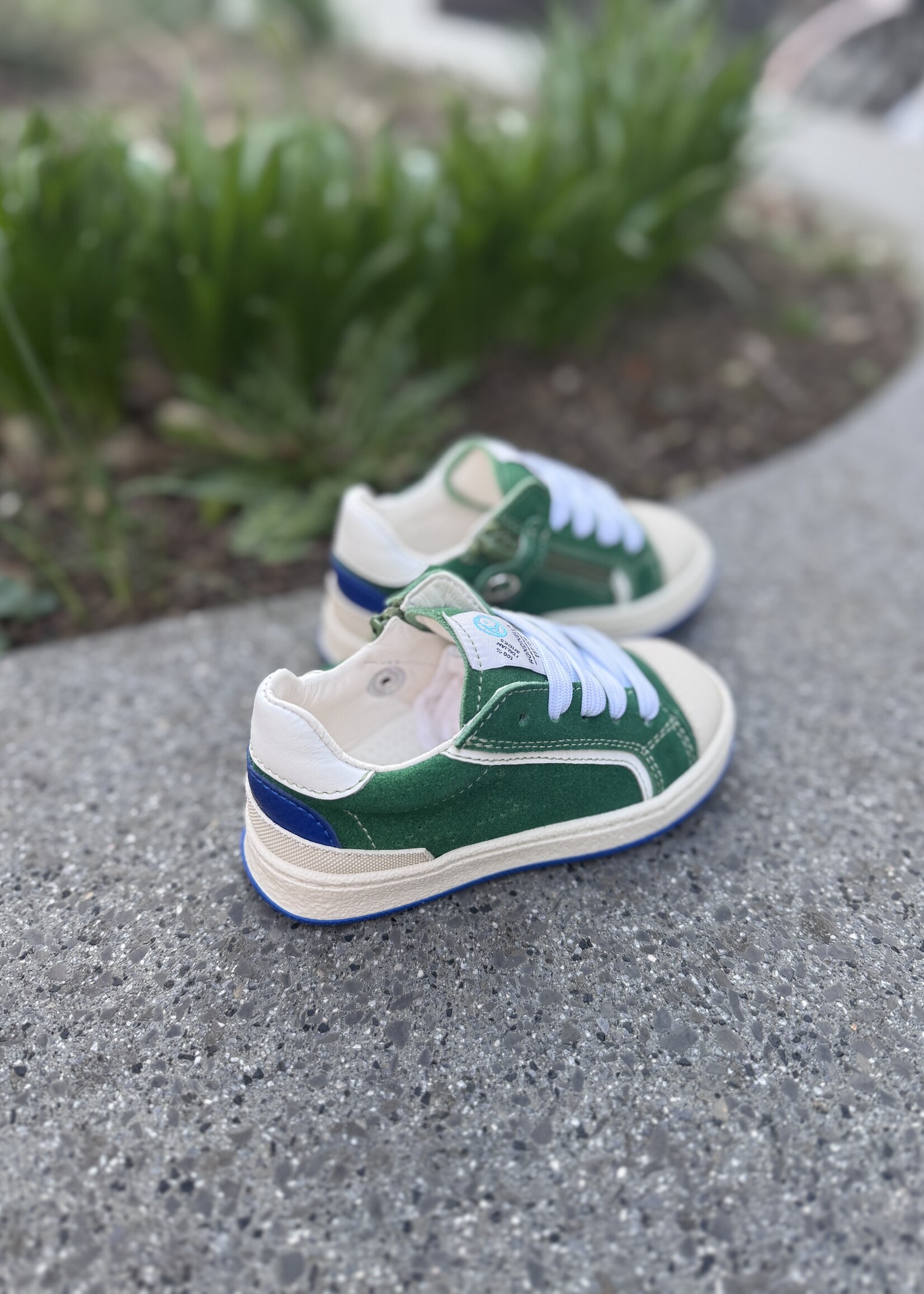 Rondinella 4819-1N sneaker groen