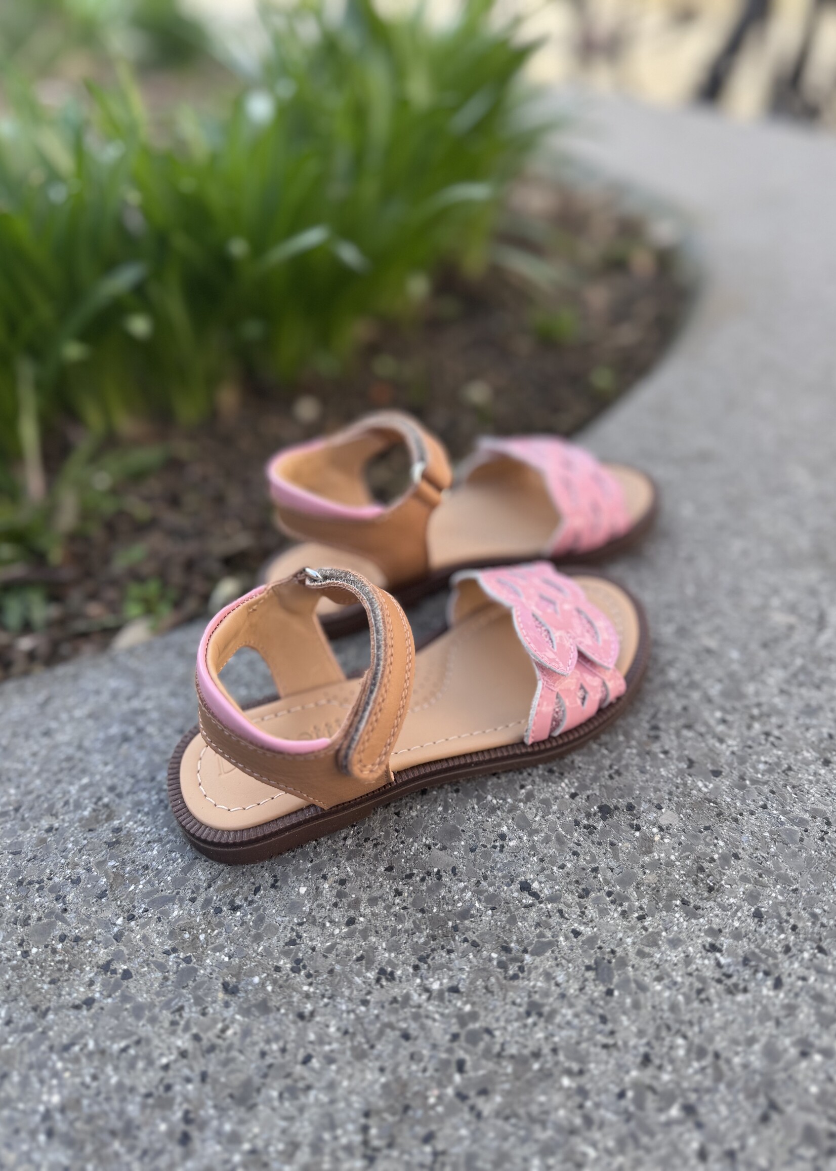 Dianetti 1697 sandaal rosa scuro dancer