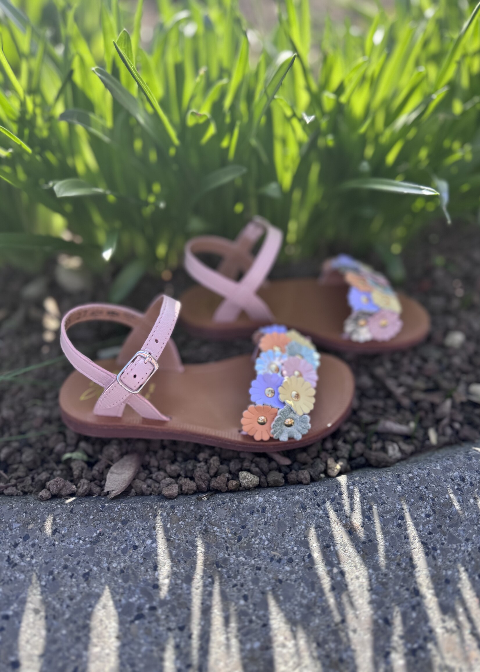 Pom d'api plagette multi flo casiopea rose nacre