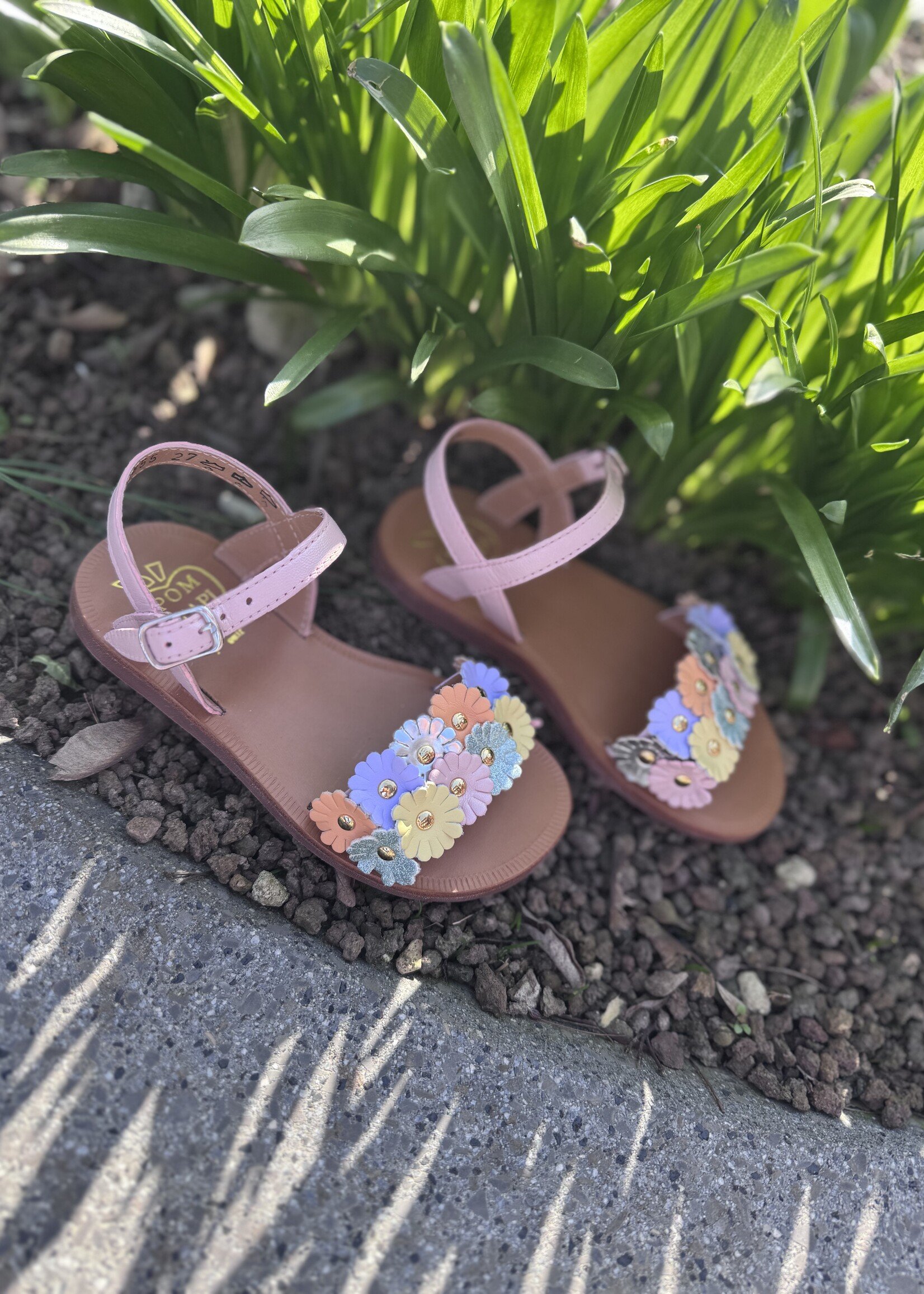 Pom d'api plagette multi flo casiopea rose nacre